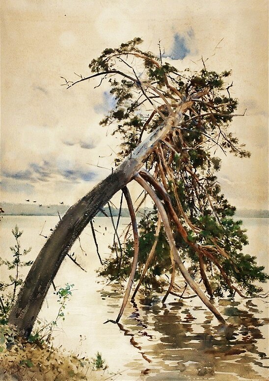 Świteź Źródło: Julian Fałat, Świteź, 1888, akwarela, domena publiczna.