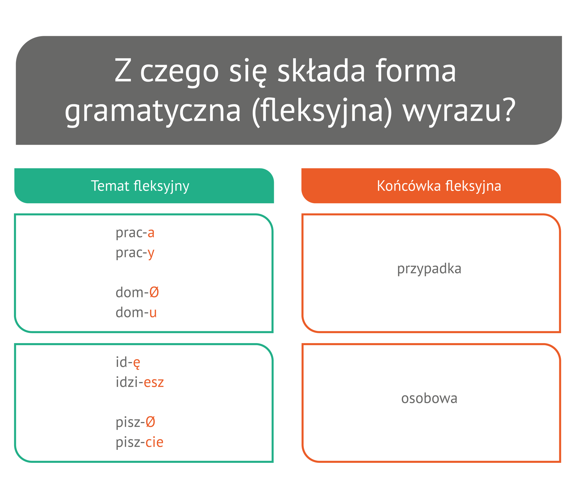(G3.G.1) Wykres: Z czego składa się forma fleksyjna wyrazu Źródło: Contentplus.pl sp. z o.o..