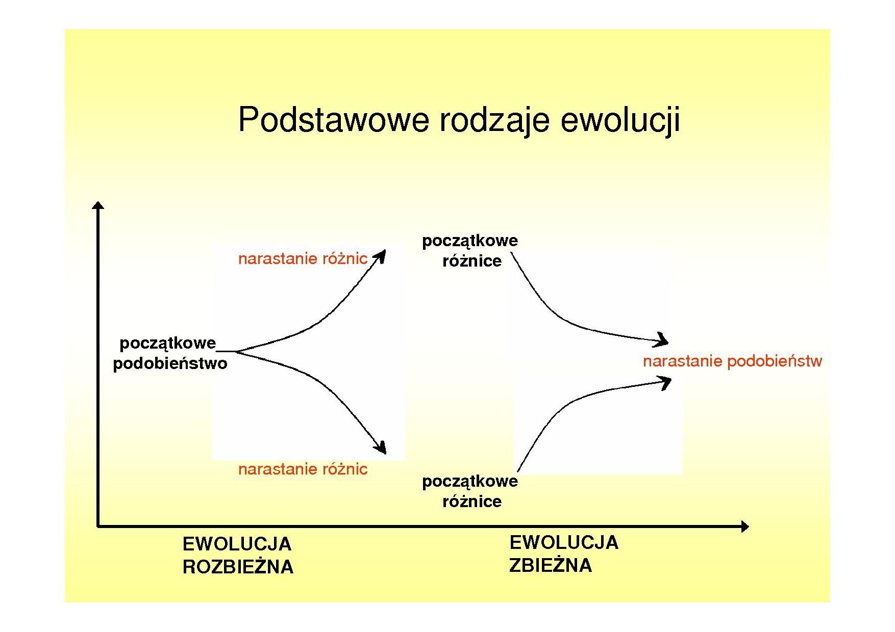 Podstawowe rodzaje ewolucji - Zintegrowana Platforma Edukacyjna