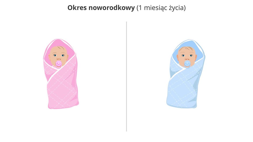 Ilustracja prezentuje noworodka żeńskiego w różowym beciku i ze smoczkiem w buzi oraz noworodka męskiego w niebieskim beciku i również ze smoczkiem.