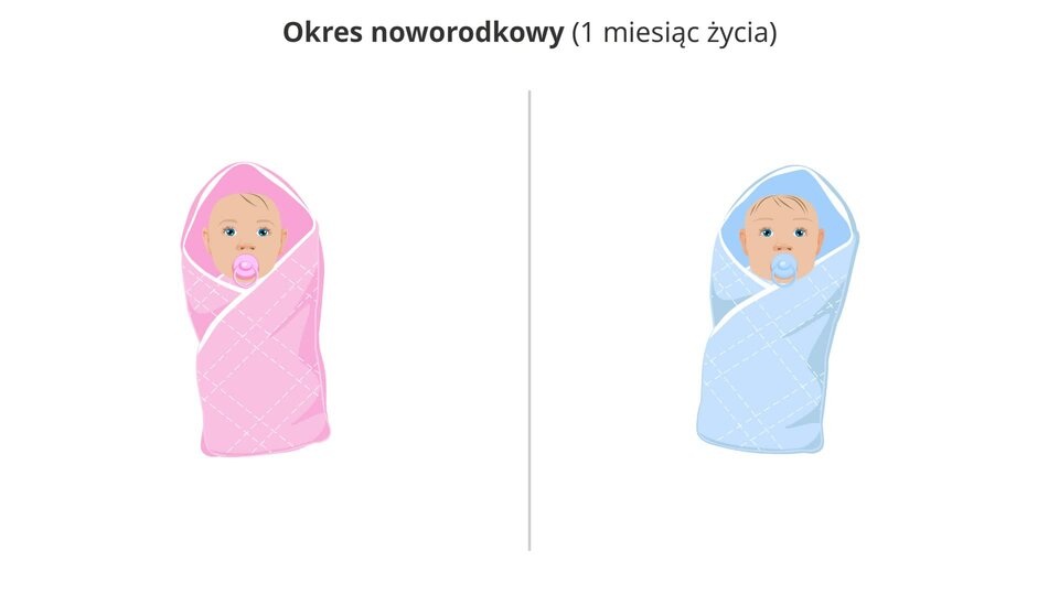 Ilustracja prezentuje noworodka żeńskiego w różowym beciku i ze smoczkiem w buzi oraz noworodka męskiego w niebieskim beciku i również ze smoczkiem.