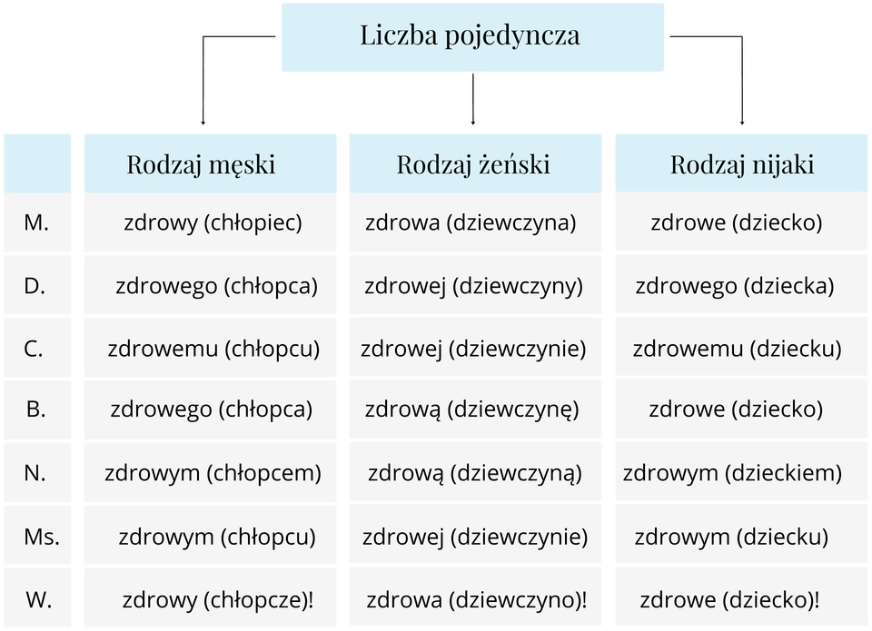 Infografika - przymiotnik do rzeczownika Źródło: Contentplus.pl sp. z o.o., licencja: CC BY 3.0.
