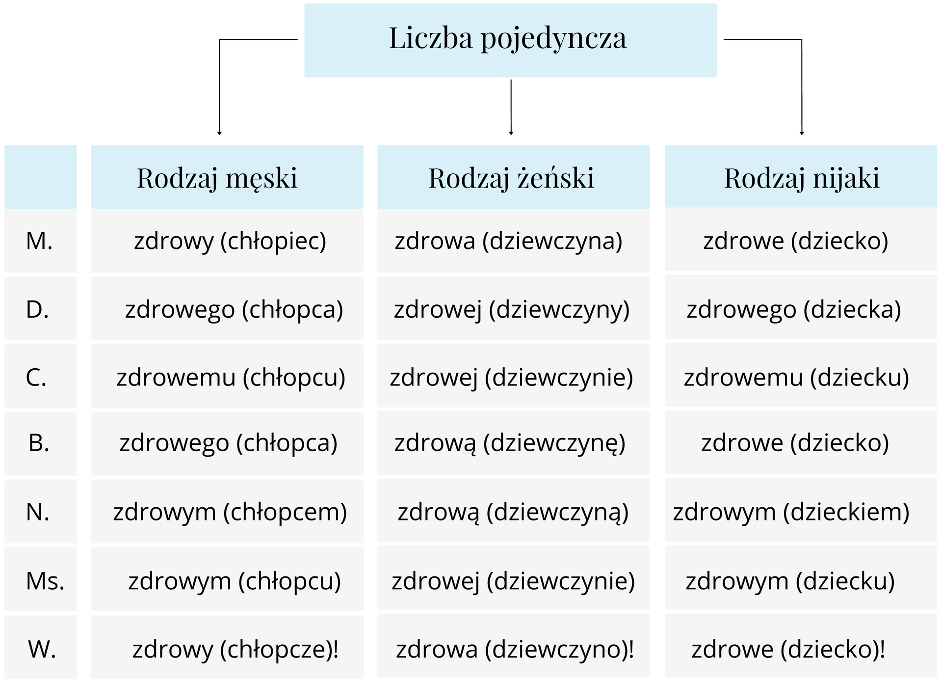 Infografika - przymiotnik do rzeczownika Źródło: Contentplus.pl sp. z o.o., licencja: CC BY 3.0.