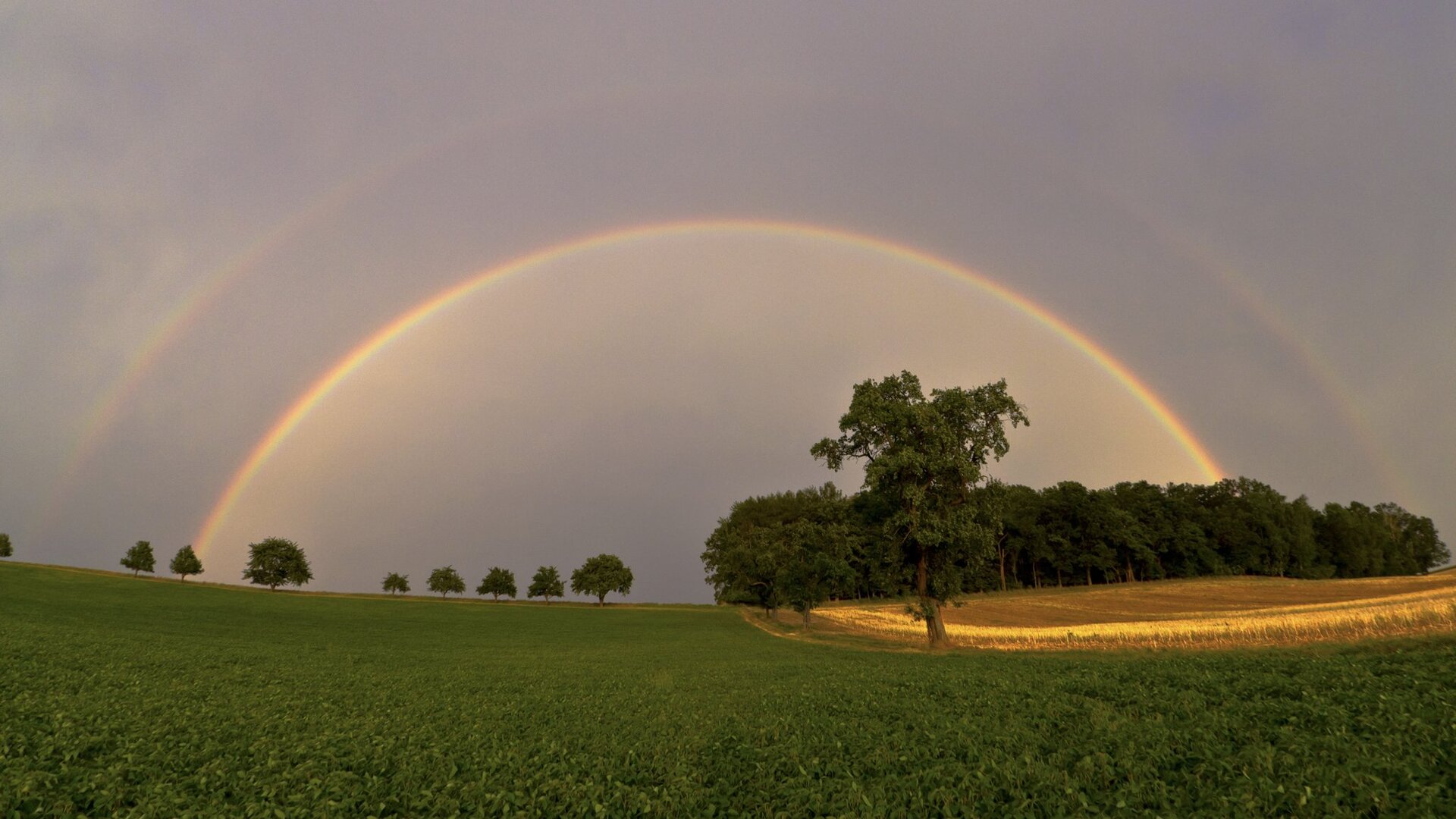 Zdjęcie przedstawia panoramicznie uchwycony krajobraz z polami uprawnymi na pierwszym planie, burzowym niebem w tle i lasem na linii horyzontu po prawej stronie kadru. Cały obszar nieba zajmuje podwójna tęcza w postaci pełnego łuku widocznego od lewego do prawego końca. Dolny łuk wyraźny i kontrastowy, górny słabszy i zanikający.