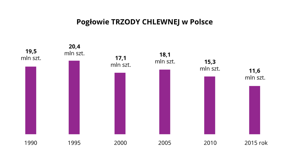 Na ilustracji diagramy słupkowe – pogłowie trzody chlewnej w Polsce. Pierwszy słupek – rok 1990 – 19500000 sztuk. Drugi słupek – rok 1995 – 20400000 sztuk. Trzeci słupek – rok 2000 – 17100000 sztuk. Czwarty słupek – rok 2005 – 18100000 sztuk. Piąty słupek – rok 2010 – 15300000 sztuk. Szósty słupek – rok 2015 – 11600000 sztuk.