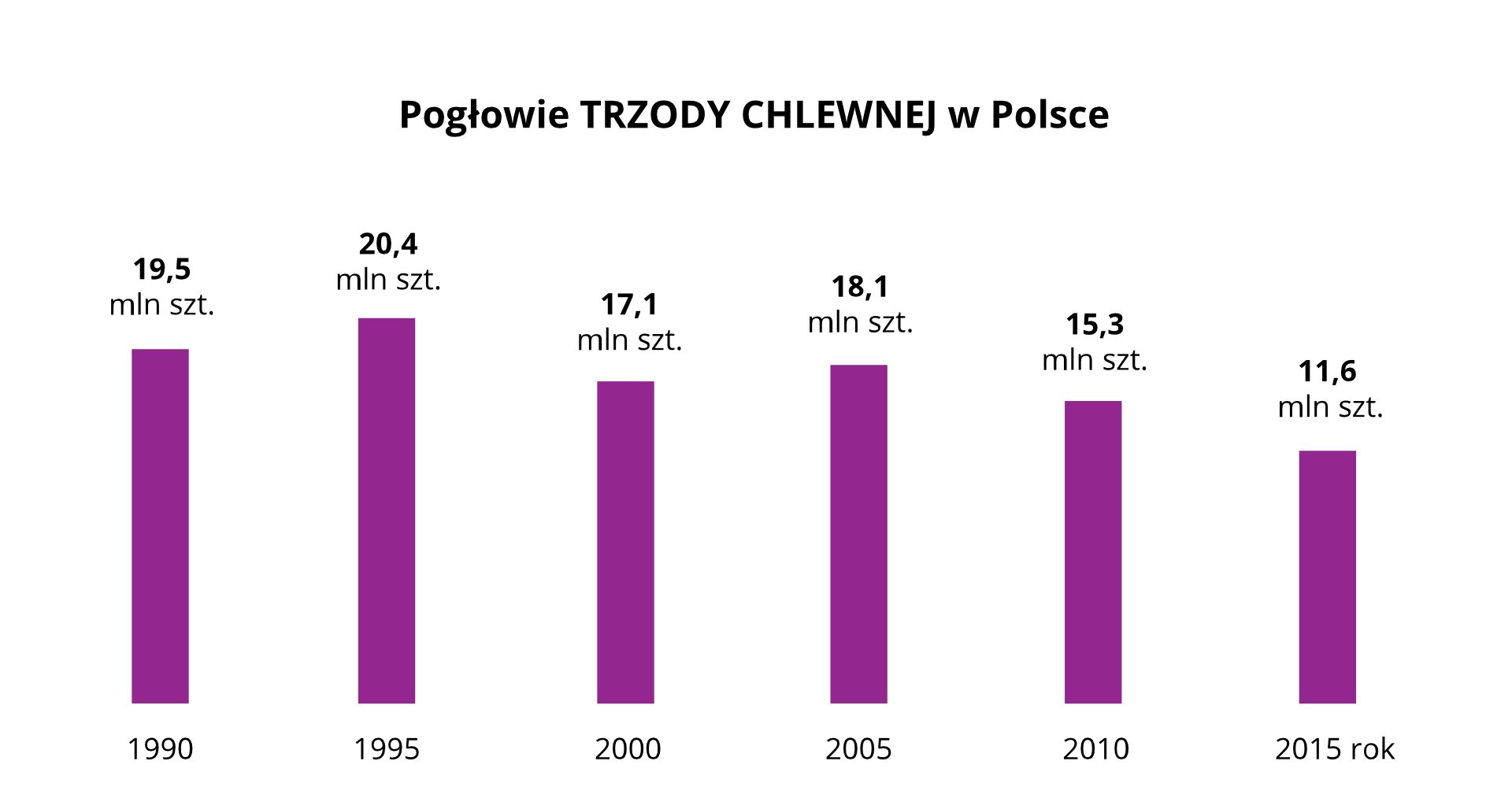 Na ilustracji diagramy słupkowe – pogłowie trzody chlewnej w Polsce. Pierwszy słupek – rok 1990 – 19500000 sztuk. Drugi słupek – rok 1995 – 20400000 sztuk. Trzeci słupek – rok 2000 – 17100000 sztuk. Czwarty słupek – rok 2005 – 18100000 sztuk. Piąty słupek – rok 2010 – 15300000 sztuk. Szósty słupek – rok 2015 – 11600000 sztuk.