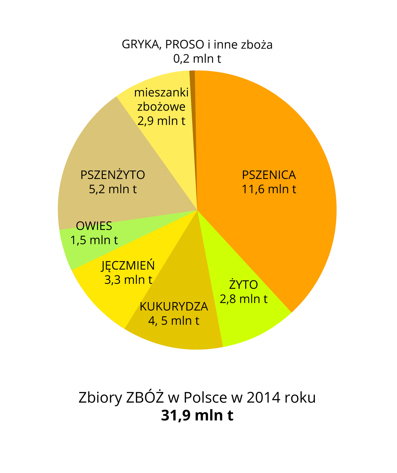Na ilustracji diagram kołowy – zbiory zbóż w Polsce: pszenica – 11,6 miliona ton, żyto – 2,8 miliona ton, kukurydza – 4,5 miliona ton, jęczmień – 3,3 miliona ton, owies – 1,5 miliona ton, pszenżyto – 5,2 miliona ton, mieszanki zbożowe – 2,9 miliona ton, gryka, proso i inne zboża – 0,2 miliona ton.