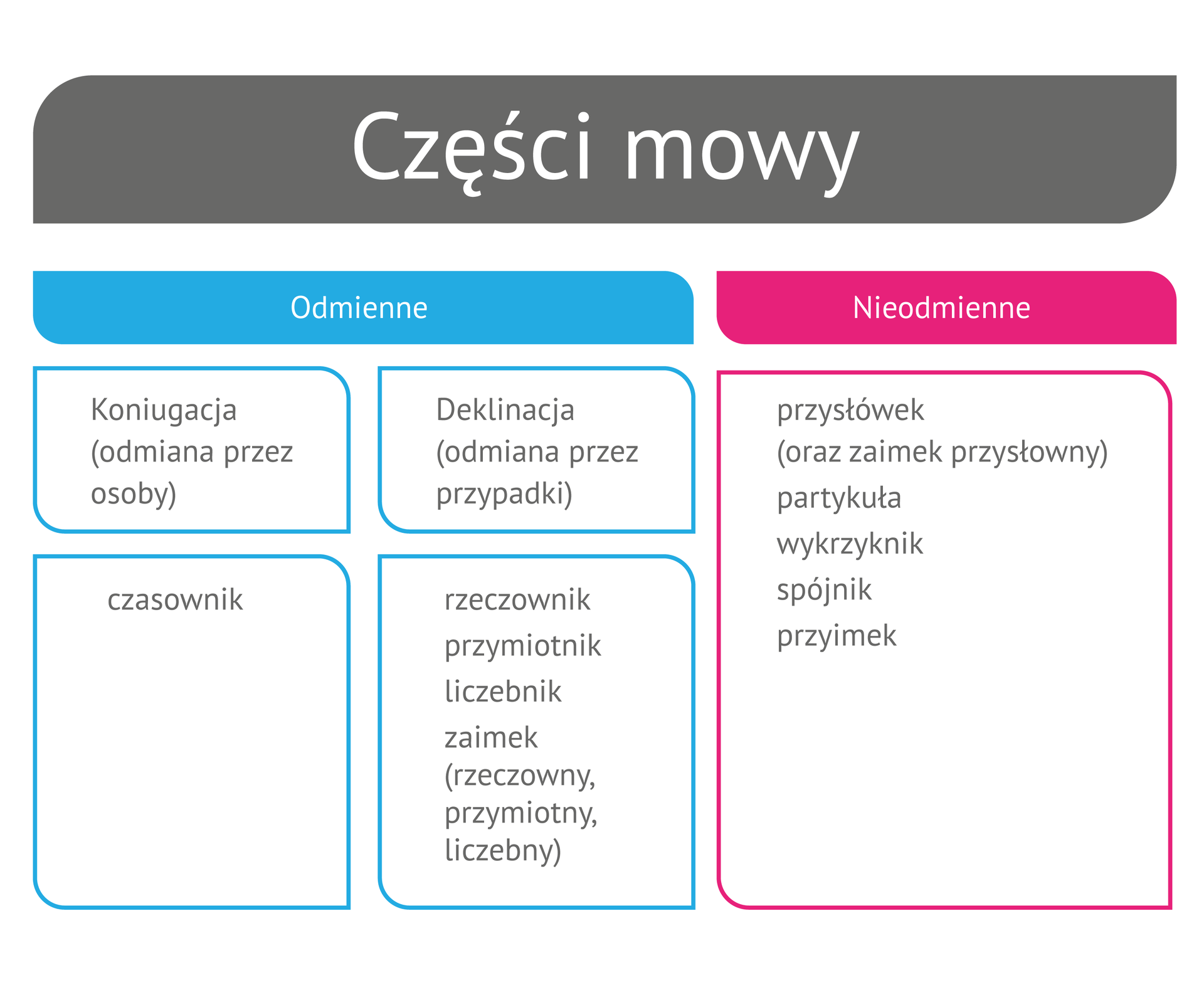 (G3.G.1) Wykres: Części mowy - odmienne i nieodmienne Źródło: Contentplus.pl sp. z o.o..