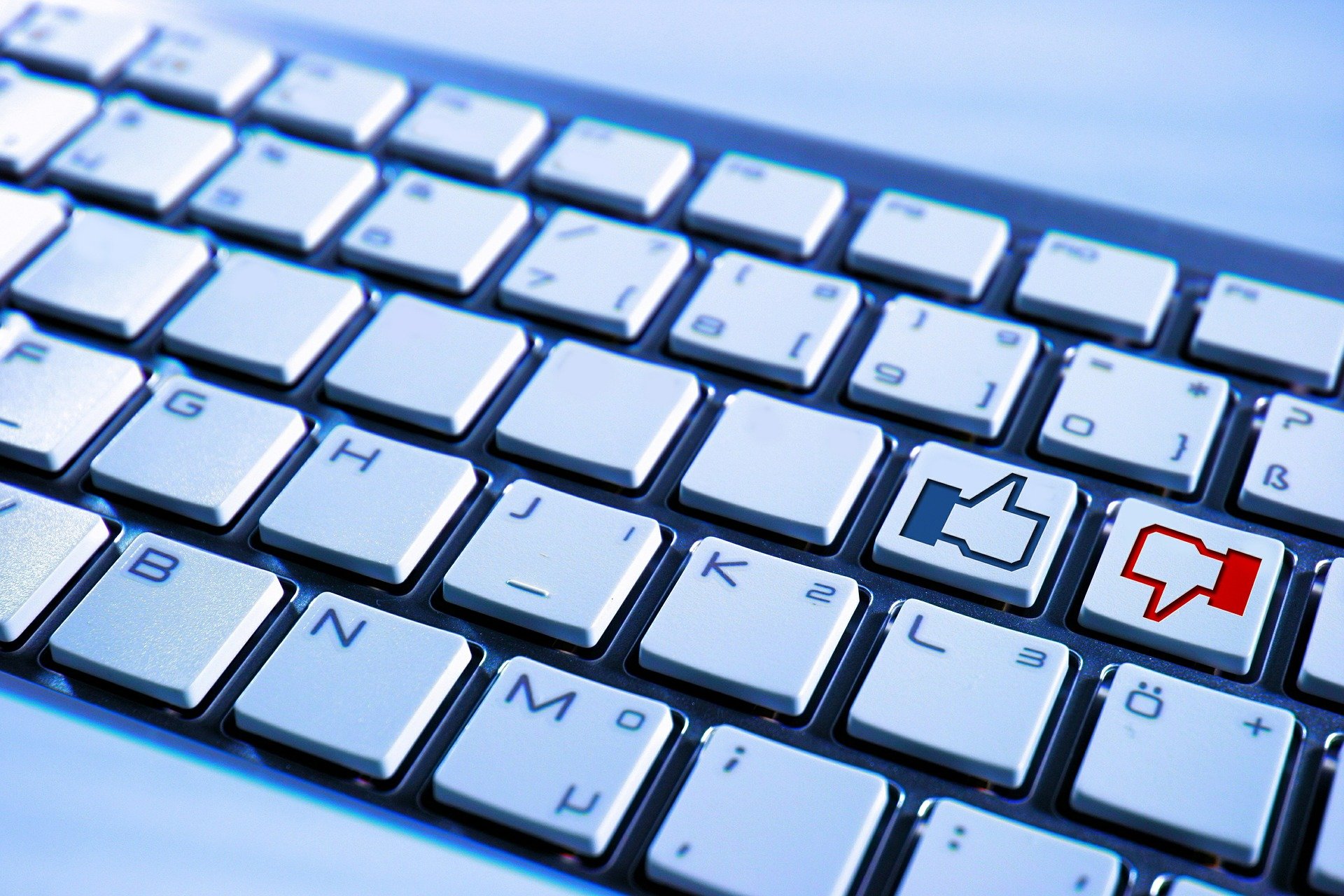 Okładka - plemiona sieci Źródło: pixabay, licencja: CC 0.