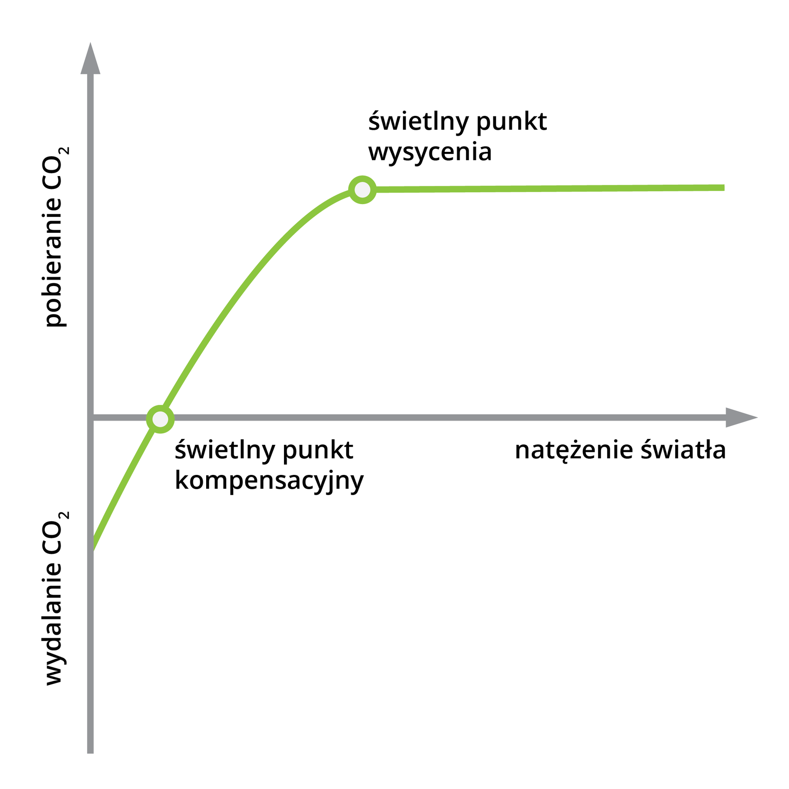 Wykres przedstawia świetlny punkt kompensacyjny oraz wysycenia w zależności od natężenia światła (oś x) i pobierania, wydzielania dwutlenku węgla (oś y). Wydalanie dwutlenku węgla umieszczone jest na osi y poniżej osi x, a pobieranie dwutlenku węgla umieszone jest na osi y, powyżej osi x. Dla niskiego natężenia światła, na osi x oznaczono świetlny punkt kompensacyjny. W świetlnym punkcie kompensacyjnym dwutlenek węgla nie jest ani pobierany ani wydalany. Wraz z natężeniem światła rośnie pobieranie dwutlenku węgla przez roślinę a maleje wydalanie. Po osiągnięciu świetlnego punktu wysycenia pobieranie dwutlenku węgla przez roślinę zatrzymuje się na określonym poziomie i już nie rośnie.