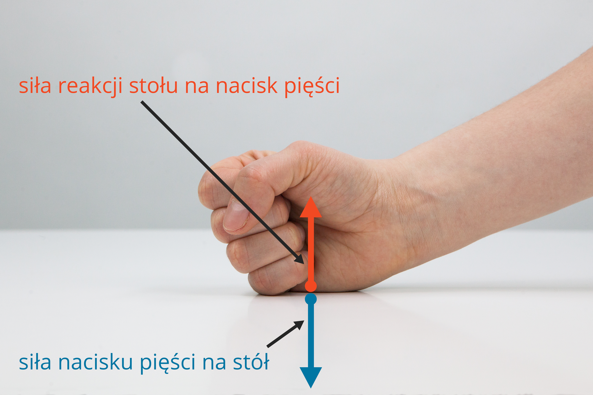 Zdjęcie ilustrujące zasadę akcji i reakcji na przykładzie nacisku dłoni na blat stołu.