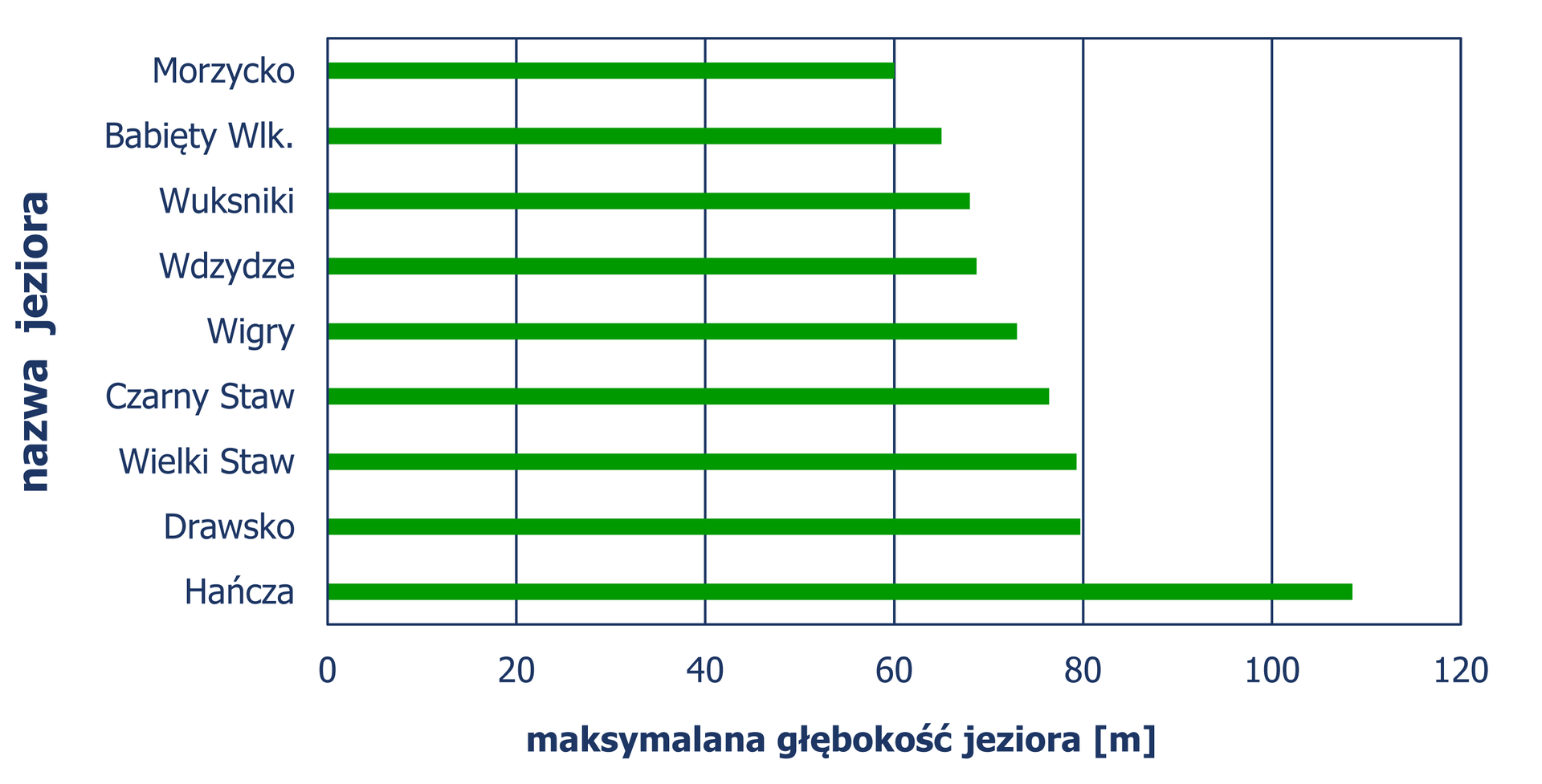 Diagram słupkowy pionowy, z którego odczytujemy maksymalną głębokość (w metrach) najgłębszych jezior w Polsce. Jezioro Morzycko – głębokość 60 metrów . Jeziora: Babięty Wielkie, Wuksniki i Wdzydze – głębokość większa niż 60 metrów, ale mniejsza niż 70 metrów . Jeziora: Wigry, Czarny Staw, Wielki Staw i Drawsko – głębokość większa niż 70 metrów, ale mniejsza niż 80 metrów. Jezioro Hańcza głębokość około 110 metrów.