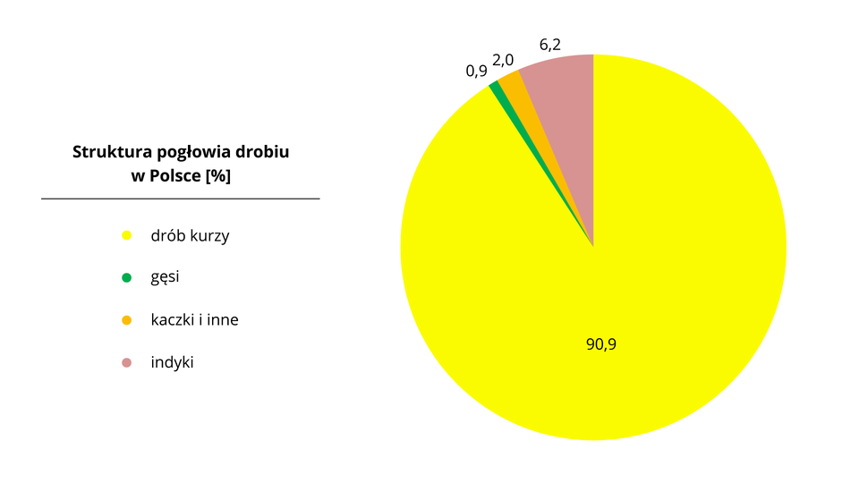 Na ilustracji diagram kołowy – struktura pogłowia drobiu w Polsce. Drób kurzy 90,9%, gęsi 0,9%, indyki 6,2%, kaczki i inne 2,0%.