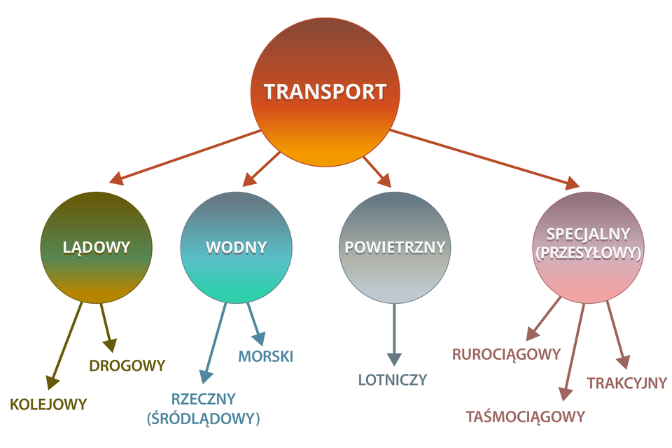Na ilustracji schemat podziału transportu na lądowy (drogowy i kolejowy), wodny (rzeczny i morski), powietrzny (lotniczy), specjalny/przesyłowy (rurociągowy, taśmociągowy, trakcyjny).