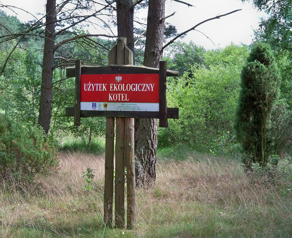 Fotografia przedstawiająca fragment lasu. Na pierwszym planie czerwona tabliczka z napisem Użytek Ekologiczny Kotla.