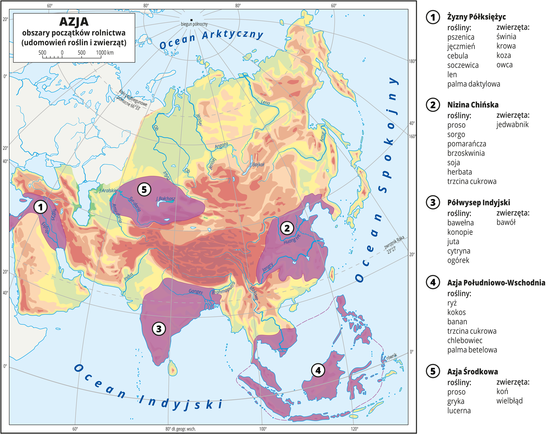 Ilustracja przedstawia mapę Azji. Mapa hipsometryczna, kolory wygaszone, brak opisów. Na tym tle umieszczono pięć obszarów początków rolnictwa (udomowień roślin i zwierząt). Oznaczono je kolorem fioletowym i opisano numerami. Numery objaśniono w legendzie. 1 – Żyzny Półksiężyc, zwierzęta: świnia , krowa, koza, owca, rośliny: pszenica, jęczmień, cebula, soczewica, len, palma daktylowa. 2 – Nizina Chińska, zwierzęta: jedwabnik, rośliny: proso, sorgo, pomarańcza, brzoskwinia, soja, herbata, trzcina cukrowa. 3 – Półwysep Indyjski, zwierzęta: bawół, rośliny: bawełna, konopie, juta, cytryna, ogórek. 4 – Azja Południowo-Wschodnia, rośliny: ryż, kokos, banan, trzcina cukrowa, chlebowiec, palma betelowa. 5 – Azja Środkowa, zwierzęta: koń, wielbłąd, rośliny: proso, gryka, lucerna. Morza i oceany zaznaczono kolorem niebieskim i opisano. Mapa pokryta jest równoleżnikami i południkami. Dookoła mapy w białej ramce opisano współrzędne geograficzne co dwadzieścia stopni.