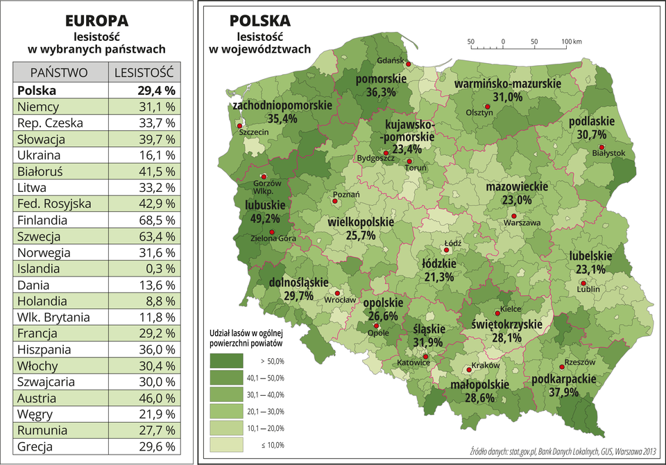 Ilustracja przedstawia mapę Polski z podziałem na województwa i powiaty. Na mapie przedstawiono lesistość w województwach. Granice województw zaznaczone są czerwoną linią. Granice powiatów zaznaczone są czarną linią. Powierzchnie powiatów mają kolor zielony, użyto sześciu odcieni. Nasyceniem kolorów oznaczono udział lasów w ogólnej powierzchni powiatów. Poszczególne kolory rozkładają się nierównomiernie i występują na mapie w zbliżonych ilościach. Najciemniejszy kolor jest w województwach zachodnich i na południowym-wschodzie Polski. Na mapie opisano nazwy województw i opisano procentowy udział lasów w poszczególnych województwach. Największa lesistość jest w województwie lubuskim – prawie pięćdziesiąt procent, najmniejsza – w województwie łódzkim – nieco ponad dwadzieścia procent. Czerwonymi kropkami zaznaczono miasta wojewódzkie. Po lewej stronie mapy na dole w legendzie umieszczono w pionie sześć prostokątów i opisano procentowy udział lasów w ogólnej powierzchni powiatów od dziesięciu procent – kolor najjaśniejszy do pięćdziesięciu procent – kolor najciemniejszy. Po lewej stronie mapy umieszczono tabelę, w której przedstawiono lesistość w wybranych państwach Europy: największa lesistość – Finlandia – ponad sześćdziesiąt osiem procent, najmniejsza lesistość – Islandia – trzy dziesiąte procenta, lesistość w Polsce – dwadzieścia dziewięć i cztery dziesiąte procenta.