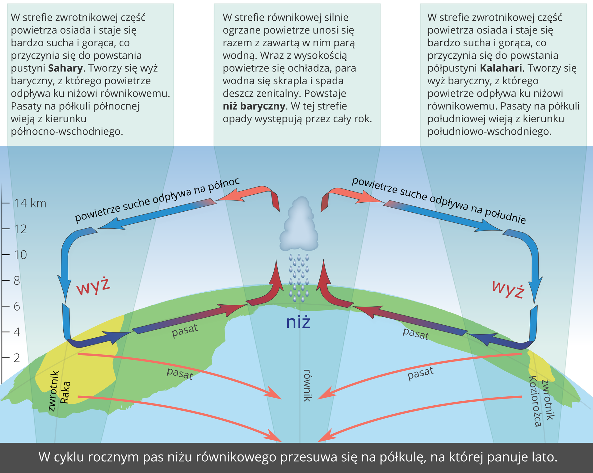 Na ilustracji schemat cyrkulacji powietrza w strefie zwrotnikowej i równikowej. Suche powietrze z ośrodka wyżowego nad Saharą płynie w kierunku równika. Pasaty na półkuli północnej wieją z kierunku północno-wschodniego. Suche powietrze z ośrodka wyżowego nad pustynią Kalahari płynie w kierunku równika. Pasaty na półkuli południowej wieją z kierunku południowo-wschodniego. W strefie równikowej ogrzane powietrze unosi się, ochładza, para wodna skrapla się i spada deszcz zenitalny.