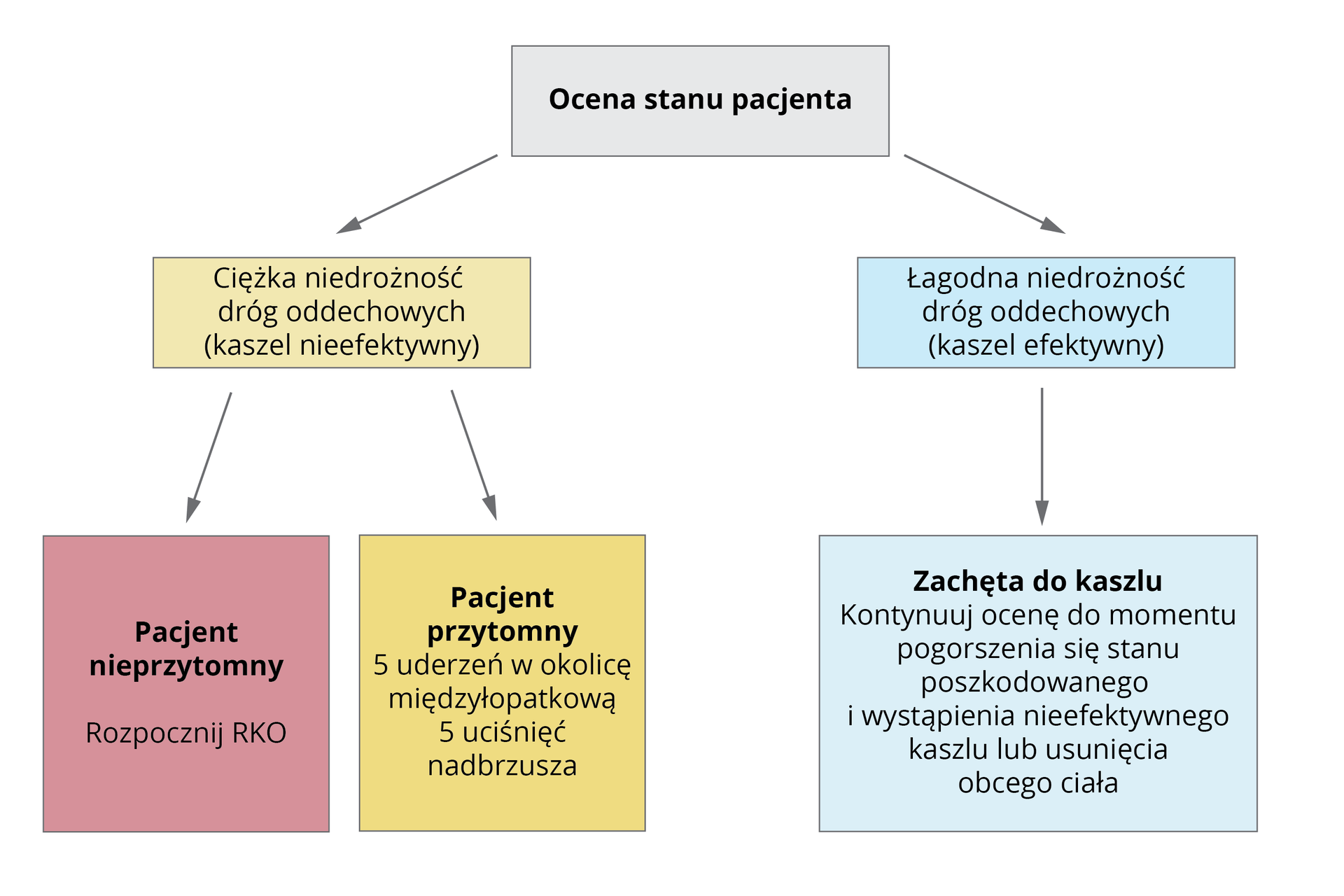 Ilustracja w formie schematu. Na górze schematu nagłówek: ocena stanu pacjenta. Poniżej dwa przypadki niedrożności dróg oddechowych. Lewa część schematu: ciężka niedrożność dróg oddechowych, kaszel nieefektywny. Poniżej podział na dwa typy pacjenta. Pierwszy typ to pacjent nieprzytomny. Rozpocznij RKO. Drugi typ to pacjent przytomny. 5 uderzeń w okolicę międzyłopatkową. 5 uciśnięć nadbrzusza. Prawa część schematu: łagodna niedrożność dróg oddechowych, kaszel efektywny. Poniżej instrukcja: zachęta do kaszlu. Kontynuuj ocenę do momentu pogorszenia się stanu poszkodowanego i wystąpienia nieefektywnego kaszlu lub usunięcia obcego ciała.