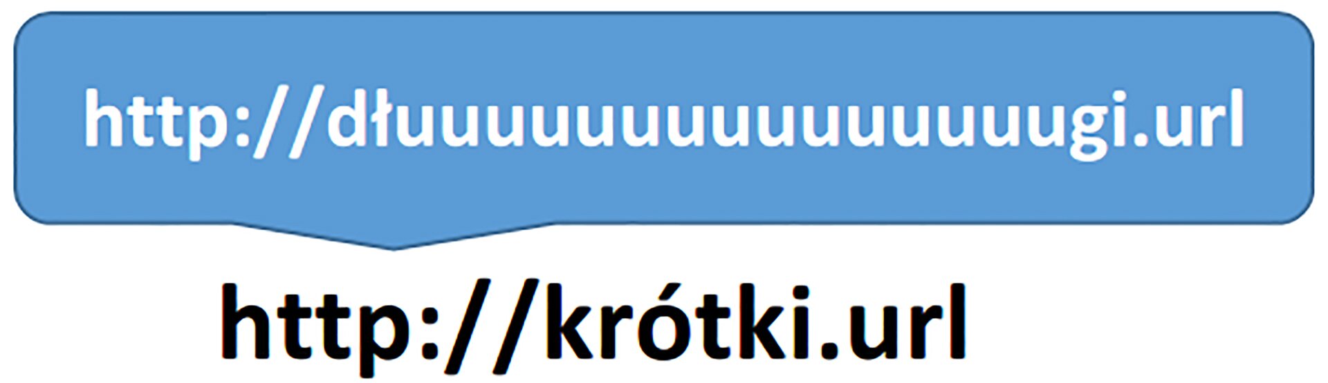 Zrzut adresów internetowych