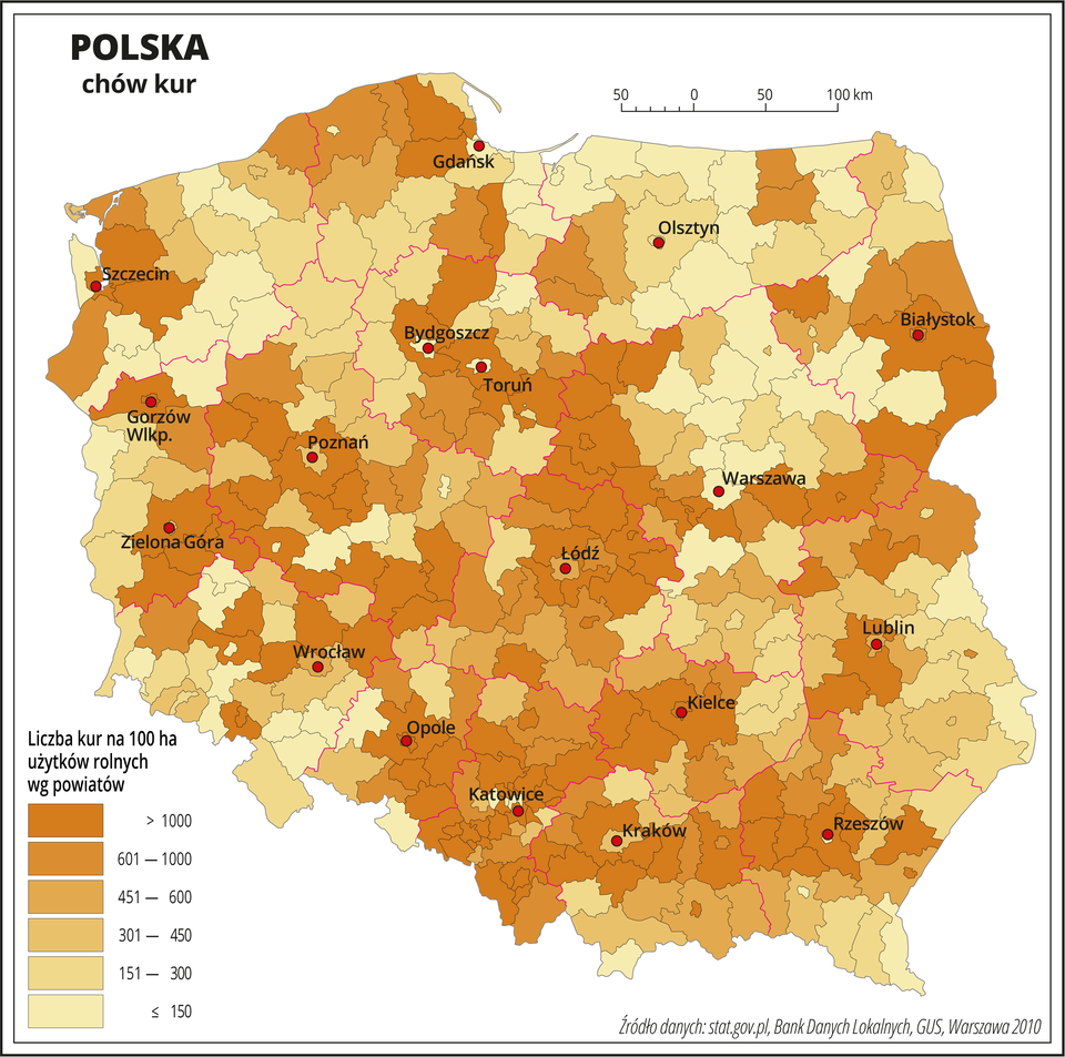Ilustracja przedstawia mapę Polski z podziałem na powiaty, na której za pomocą kolorów od pomarańczowego do żółtego przedstawiono liczbę sztuk kur na sto hektarów użytków rolnych wg powiatów. Na mapie czerwonymi liniami oznaczono granice województw, a czarnymi granice powiatów, czerwonymi kropkami oznaczono miasta wojewódzkie i je opisano. Najciemniejszym odcieniem koloru pomarańczowego oznaczono obszary, gdzie występuje powyżej tysiąca sztuk kur na sto hektarów użytków rolnych, a najjaśniejszym odcieniem koloru żółtego obszary, gdzie hodowla kur jest najmniejsza i wynosi poniżej stu pięćdziesięciu sztuk na sto hektarów użytków rolnych. Na mapie przeważają obszary ciemniejsze. Poszczególne kolory są rozłożone nierównomiernie. Największa liczba powiatów oznaczonych kolorem najjaśniejszym, w których hodowla kur jest najmniejsza występuje w województwie mazowieckim, podlaskim i warmińsko-mazurskim i zachodniopomorskim. Poniżej mapy w legendzie opisano kolory użyte na mapie.
