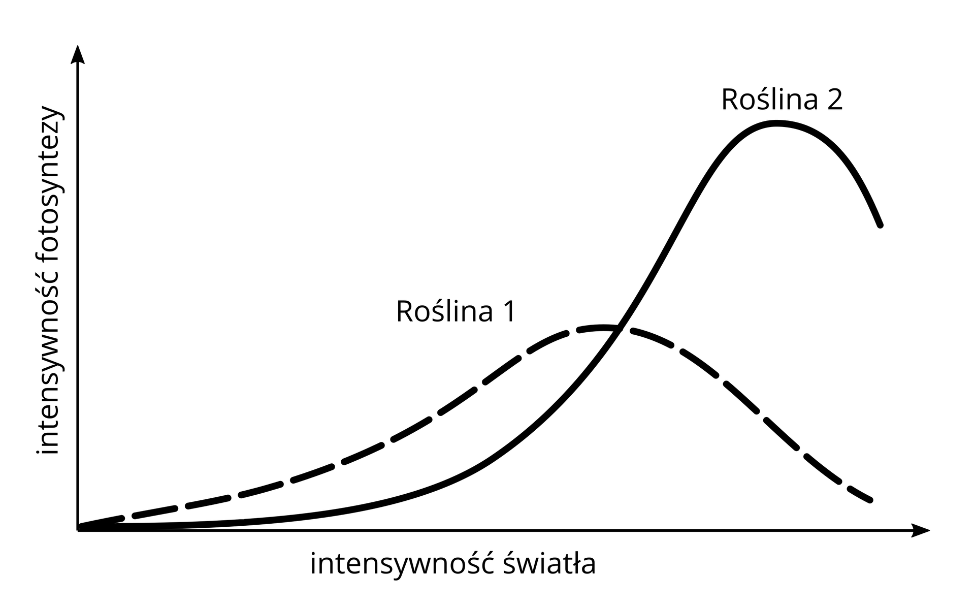 Ćwiczenie podsumowujące