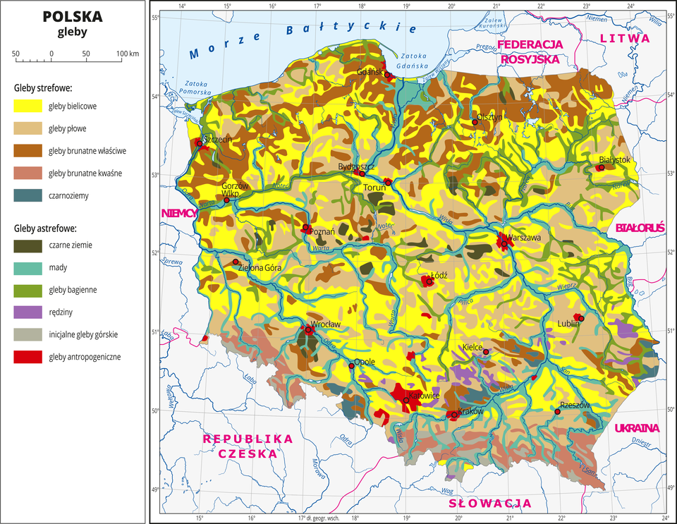 Ilustracja przedstawia mapę Polski . Na mapie kolorami zaznaczono typy gleb. Centralną część Polski zajmują gleby bielicowe oznaczone kolorem żółtym i gleby płowe oznaczone kolorem beżowym. Na północy przeważają gleby brunatne właściwe i kwaśne oznaczone dwoma odcieniami koloru brązowego. Wzdłuż rzek występują mady (kolor turkusowy) i gleby bagienne (kolor zielony). Czerwonymi kropkami zaznaczono miasta wojewódzkie. Opisano rzeki. Po lewej stronie mapy w legendzie umieszczono w pionie jedenaście kolorowych prostokątów, które opisano nazwami gleb. Wydzielono pięć rodzajów gleb strefowych: bielicowe, płowe, brunatne właściwe, brunatne kwaśne i czarnoziemy oraz sześć rodzajów gleb astrefowych: czarne ziemie, mady, gleby bagienne, rędziny, inicjalne gleby górskie i gleby antropogeniczne. Gleby astrefowe rozmieszczone są nierównomiernie, gleby antropogeniczne występują wokół miast.