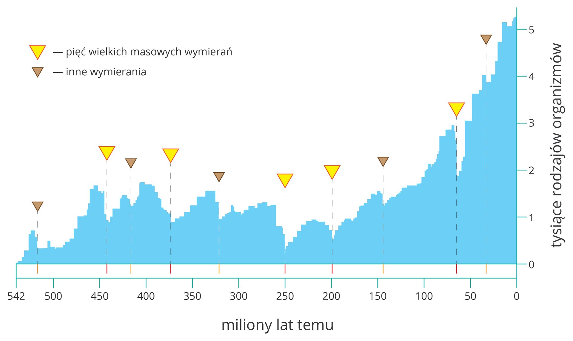 Aplikacja przedstawia mIlustracja przedstawia diagram słupkowy w kolorze błękitnym. Oś X wyskalowano od prawej do lewej i podpisano: miliony lat temu. Oś Y podpisano: tysiące rodzajów organizmów i wyskalowano do pięciu. Żółte trójkąty oznaczają masowe wymierania. Brązowe trójkąty symbolizują inne wymierania.