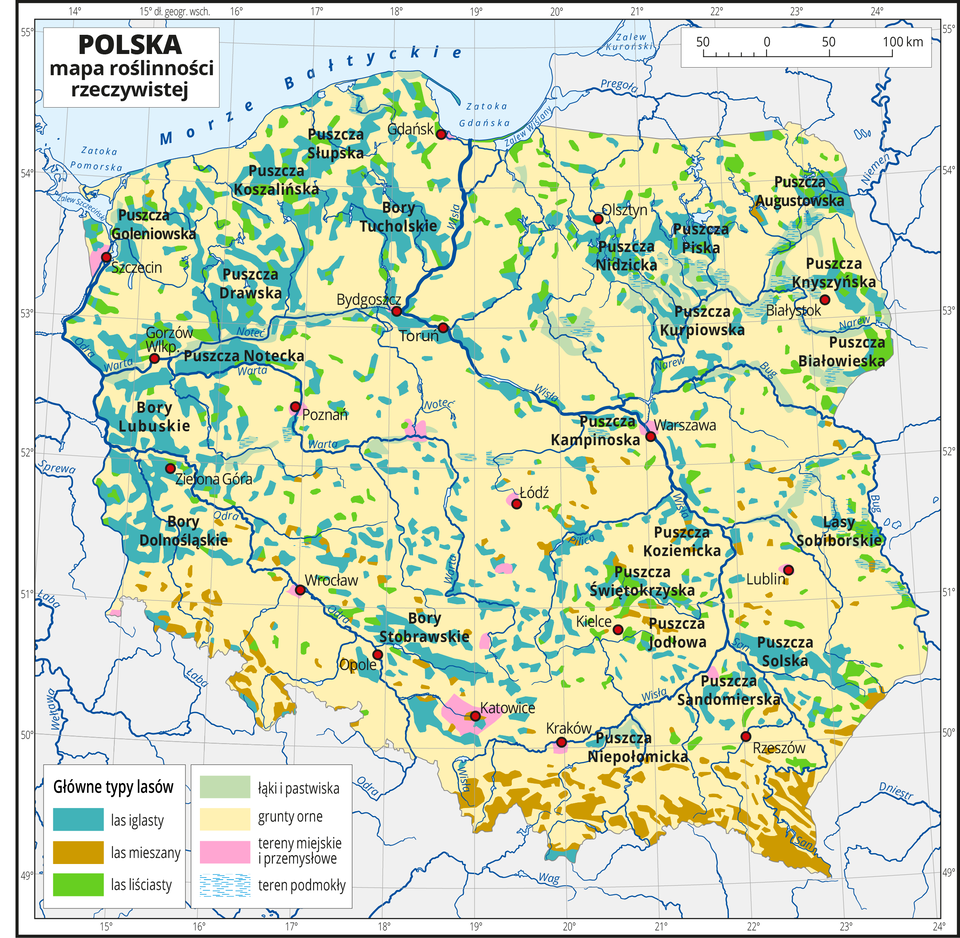 Ilustracja przedstawia mapę Polski . Na mapie kolorami zaznaczono trzy główne typy lasów, łąki i pastwiska, grunty orne, tereny miejskie i przemysłowe oraz tereny podmokłe. Większą część Polski zajmują grunty orne oznaczone kolorem żółtym. W dolinach rzek i na pojezierzach występują lasy iglaste, gdzieniegdzie lasy liściaste. Na terenach górskich występują lasy mieszane. W rejonie dużych miast oznaczono tereny miejskie i przemysłowe. Najwięcej łąk i pastwisk występuje w północno-wschodniej części Polski. Czerwonymi kropkami zaznaczono miasta wojewódzkie. Opisano główne rzeki i morze. Mapa pokryta jest siatką równoleżników i południków. Dookoła mapy jest biała ramka, w której opisane są współrzędne geograficzne co jeden stopień. Po lewej stronie mapy w legendzie umieszczono siedem kolorowych prostokątów, które opisano. Wydzielono trzy rodzaje lasów: iglasty, mieszany i liściasty oraz łąki i pastwiska, grunty orne, tereny miejskie i przemysłowe oraz tereny podmokłe.