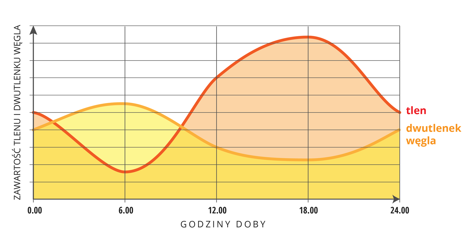 Ilustracja przedstawia wykres zmian zawartości gazów w wodzie w ciągu doby. Oś Y podpisano: zawartość tlenu i dwutlenku węgla, na osi X zaznaczono godziny doby od 0 do 24, w podziale co sześć godzin. Tlen oznaczono kolorem różowym, a dwutlenek węgla pomarańczowym. Wykresy dla obu gazów częściowo na siebie zachodzą, co przedstawiono kolorem ciemno żółtym.stawu