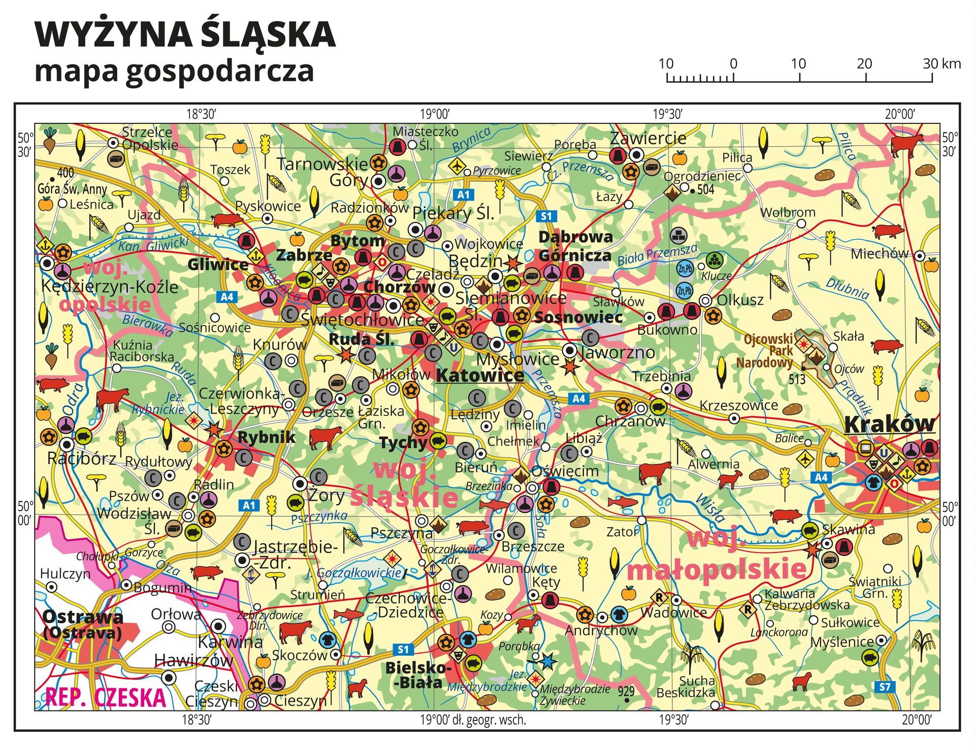 Ilustracja przedstawia mapę gospodarczą Wyżyny Śląskiej. Tło mapy w kolorze żółtym (grunty orne), jasnozielonym (łąki i pastwiska) i zielonym (lasy). Mapa obejmuje rejon Górnego Śląska od Kędzierzyna Koźla na zachodzie po Kraków na wschodzie, na północy sięgając Zawiercia, na południu Bielska-Białej. Na mapie sygnatury obrazujące uprawy poszczególnych roślin, hodowlę zwierząt, przemysł, górnictwo i energetykę, komunikację, turystykę, naukę, kulturę i sztukę. Największe zagęszczenie sygnatur w aglomeracji Górnego Śląska i w Krakowie. Duże zagęszczenie sygnatur w Bielsku-Białej i Zawiercia. Na obszarze całej mapy rozmieszczone sygnatury hodowli i upraw. Na mapie przedstawiono sieć dróg i kolei, porty wodne i lotnicze, granice województw, granicę państwa. Opisano województwa opolskie, śląskie, małopolskie, Republikę Czeską. Mapa zawiera południki i równoleżniki, dookoła mapy w białej ramce opisano współrzędne geograficzne co trzydzieści minut.
