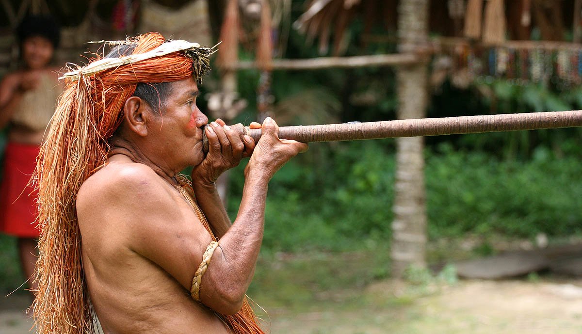 Indianin z południowoamerykańskiego plemienia Yagua prezentuje zastosowanie dmuchawki Indianin z południowoamerykańskiego plemienia Yagua prezentuje zastosowanie dmuchawki Źródło: Jialiang Gao, licencja: CC BY-SA 4.0.