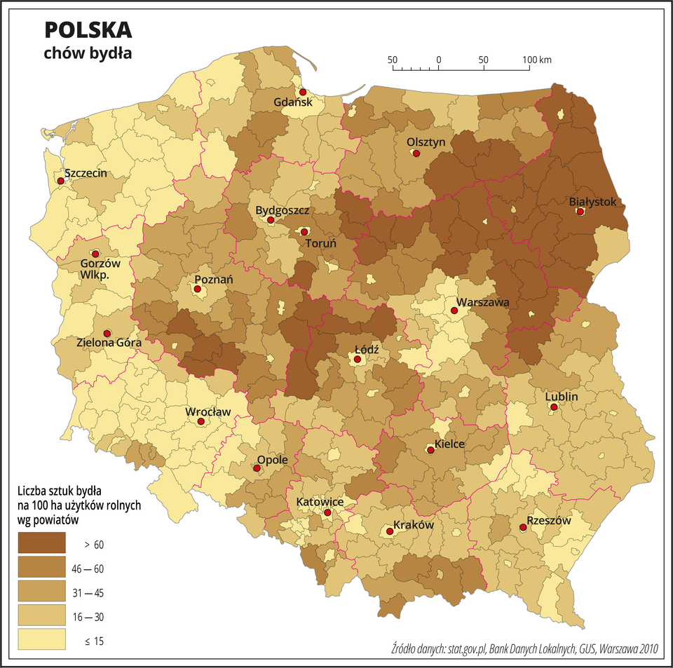 Ilustracja przedstawia mapę Polski z podziałem na powiaty, na której za pomocą kolorów przedstawiono liczbę sztuk bydła na sto hektarów użytków rolnych wg powiatów. Na mapie czerwonymi liniami oznaczono granice województw, a czarnymi granice powiatów, czerwonymi kropkami oznaczono miasta wojewódzkie i je opisano. Najciemniejszym odcieniem koloru brązowego oznaczono obszary, gdzie występuje powyżej sześćdziesięciu sztuk bydła na sto hektarów użytków rolnych. Jest to województwo podlaskie, północna i wschodnia część województwa mazowieckiego, południowa część województwa warmińsko-mazurskiego i kilka powiatów na styku województwa wielkopolskiego i łódzkiego. Najjaśniejszym odcieniem oznaczono obszary, gdzie hoduje się poniżej piętnastu sztuk bydła na sto hektarów użytków rolnych. Jest to centralna część województwa mazowieckiego, okolice Łodzi i zachodnia część Polski. W pozostałych powiatach oznaczonych trzema różnymi odcieniami koloru brązowego przedstawiono obszary, na których hodowla bydła waha się od szesnastu do sześćdziesięciu sztuk na sto hektarów użytków rolnych. Występują one na mapie w zbliżonych ilościach i są rozłożone nierównomiernie. Poniżej mapy w legendzie opisano kolory użyte na mapie.