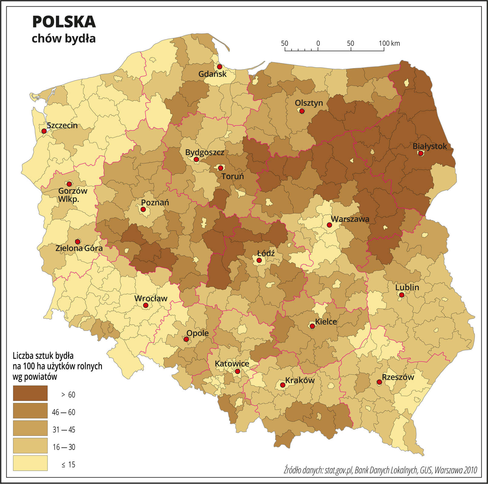 Ilustracja przedstawia mapę Polski z podziałem na powiaty, na której za pomocą kolorów przedstawiono liczbę sztuk bydła na sto hektarów użytków rolnych wg powiatów. Na mapie czerwonymi liniami oznaczono granice województw, a czarnymi granice powiatów, czerwonymi kropkami oznaczono miasta wojewódzkie i je opisano. Najciemniejszym odcieniem koloru brązowego oznaczono obszary, gdzie występuje powyżej sześćdziesięciu sztuk bydła na sto hektarów użytków rolnych. Jest to województwo podlaskie, północna i wschodnia część województwa mazowieckiego, południowa część województwa warmińsko-mazurskiego i kilka powiatów na styku województwa wielkopolskiego i łódzkiego. Najjaśniejszym odcieniem oznaczono obszary, gdzie hoduje się poniżej piętnastu sztuk bydła na sto hektarów użytków rolnych. Jest to centralna część województwa mazowieckiego, okolice Łodzi i zachodnia część Polski. W pozostałych powiatach oznaczonych trzema różnymi odcieniami koloru brązowego przedstawiono obszary, na których hodowla bydła waha się od szesnastu do sześćdziesięciu sztuk na sto hektarów użytków rolnych. Występują one na mapie w zbliżonych ilościach i są rozłożone nierównomiernie. Poniżej mapy w legendzie opisano kolory użyte na mapie.