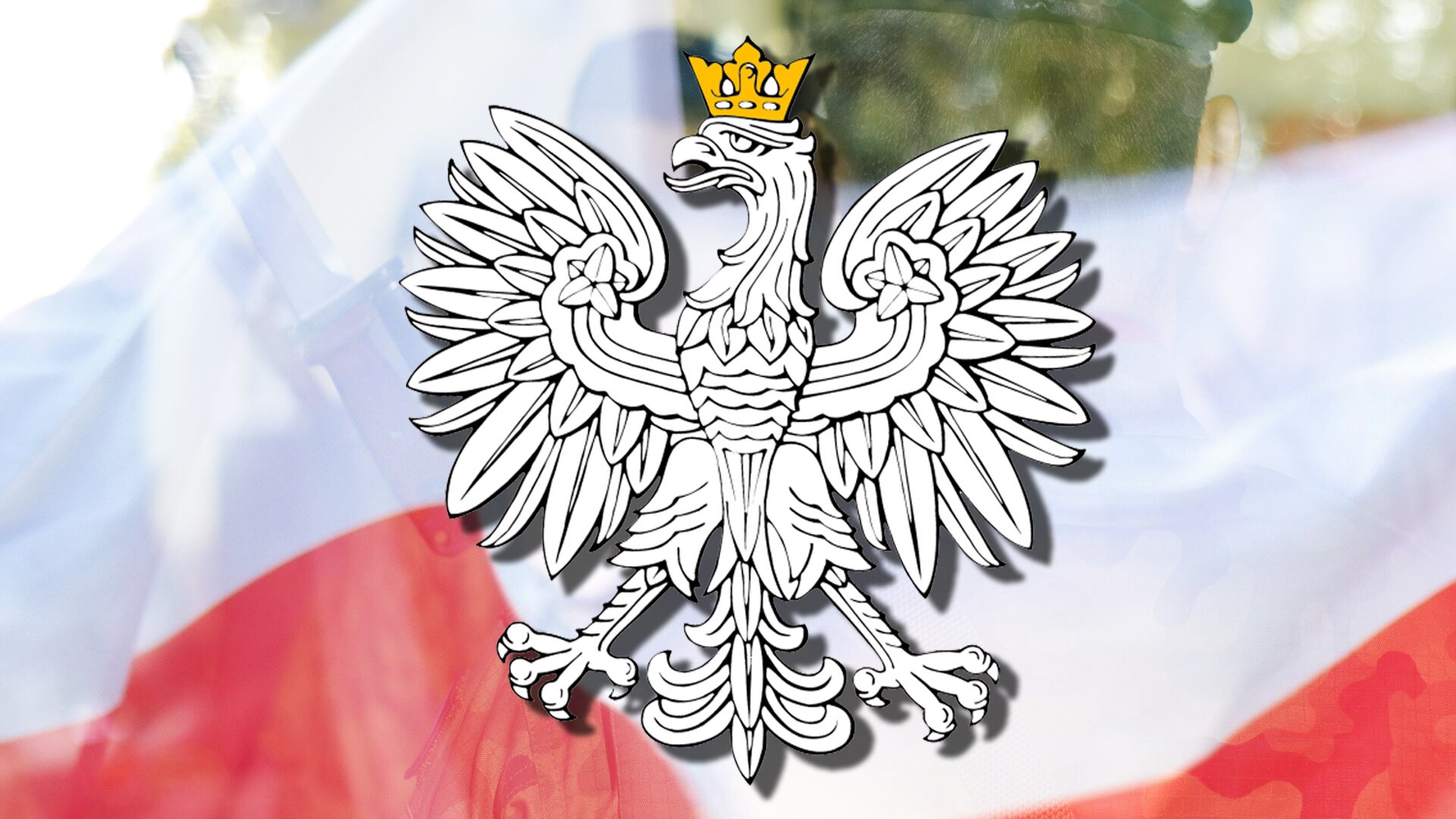 W centrum ilustracji umieszczony został polski Biały Orzeł w koronie. Korona jest w kolorze złotym. Rysunek orła znajduje się na tle prześwitującej biało-czerwonej flagi. Flaga przesłania sylwetkę żołnierza kompanii honorowej. Całość ilustracji sugeruje obchody uroczystości państwowej z udziałem Kompanii Reprezentacyjnej Wojska Polskiego.