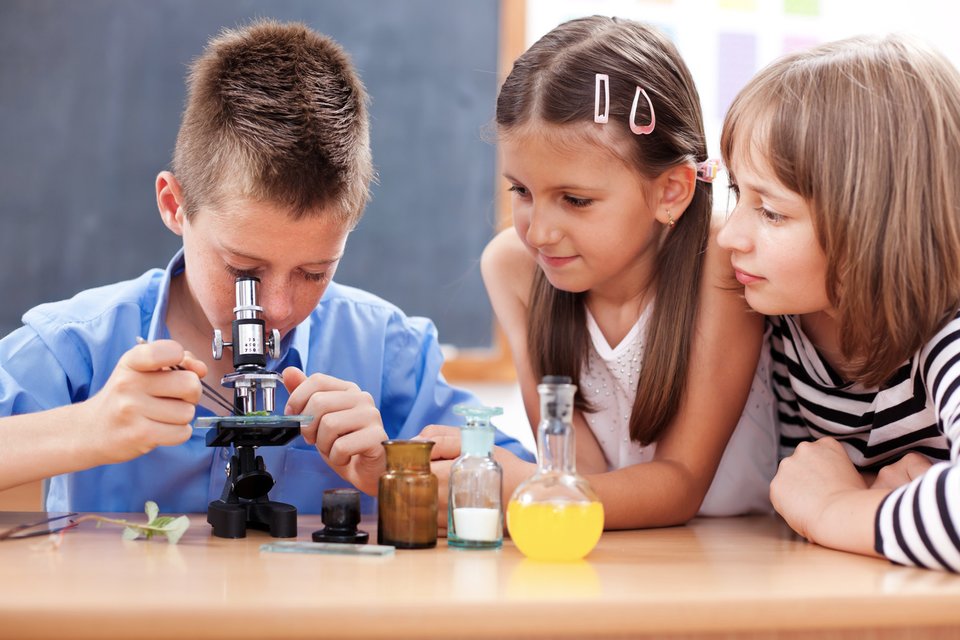 Fotografia przedstawia trójkę dzieci siedzących przy biurku, na którym ustawiony jest mikroskop optyczny, a obok niego z jednej strony cztery naczynia laboratoryjne, a z drugiej - gałązka z zielonymi liśćmi. Po lewej stronie siedzi chłopiec, który posługuje się mikroskopem: obserwuje przez okular preparat umieszczony w mikroskopie. Jest nim zielony liść. Dwie dziewczynki obserwują pracę kolegi.