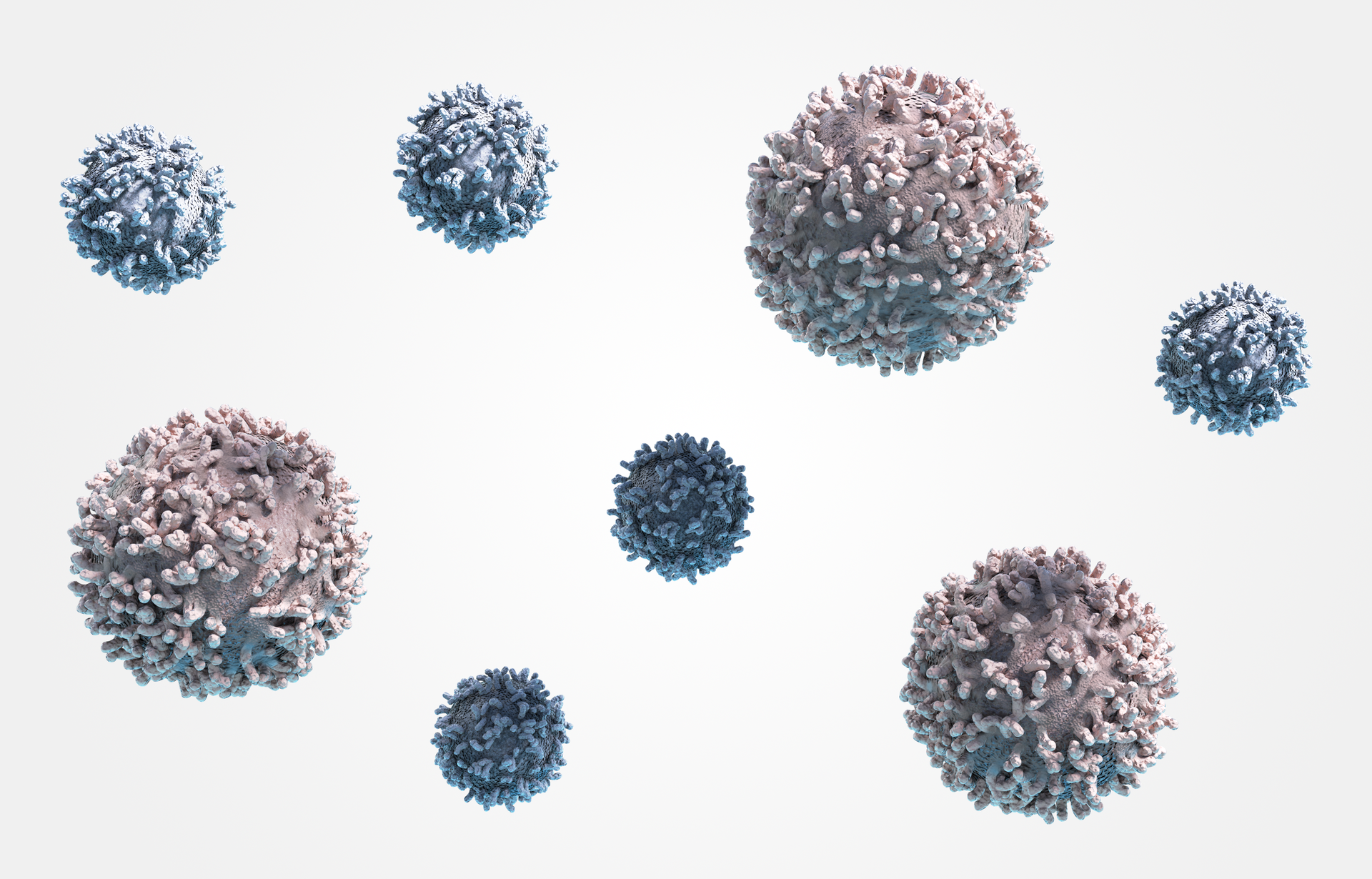 W galerii znajdują się ilustracje, dotyczące komórek układu odpornościowego. Ilustracja przedstawia przestrzennie liliowe i niebieskie kule. Na powierzchni mają wypustki i gruzełki. Większe to makrofagi, mniejsze to limfocyty.