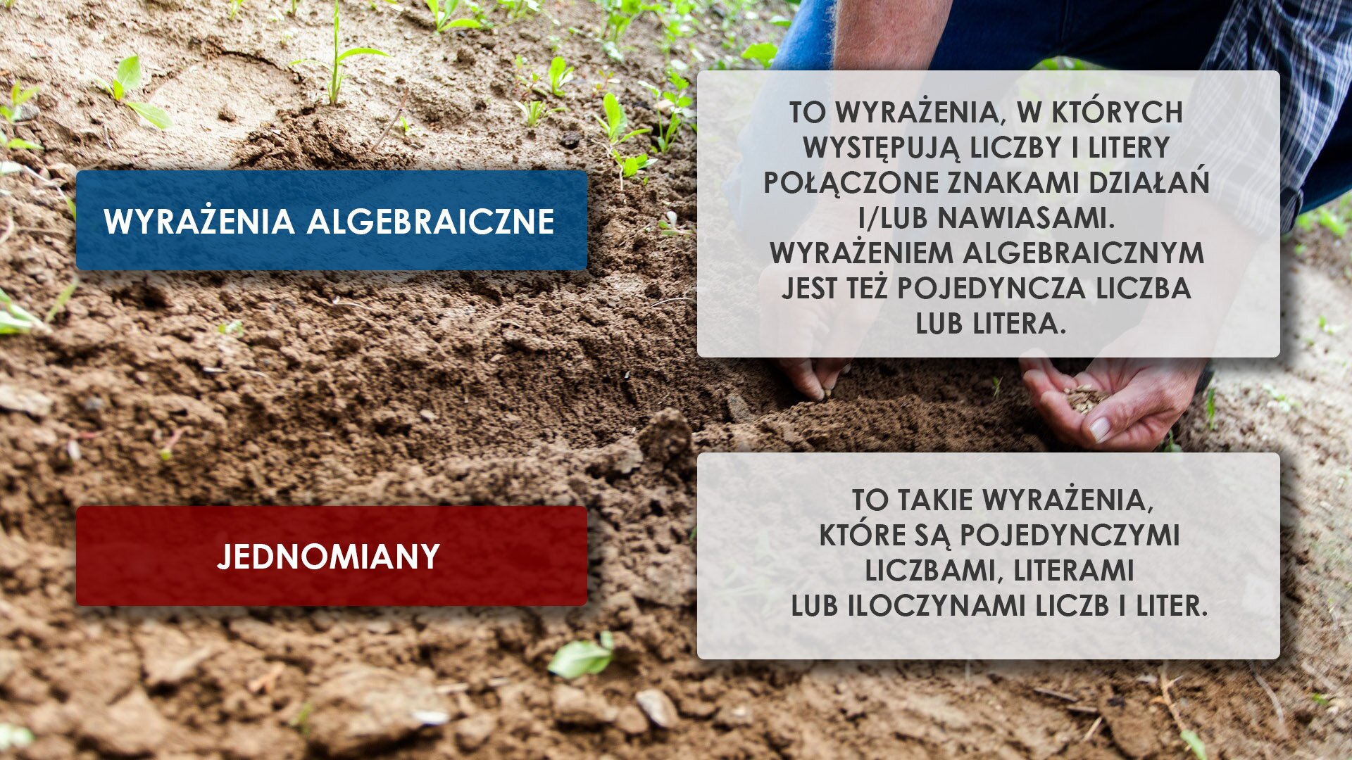 Na zdjęciu pokazany jest fragmentu gruntu z młodymi roślinkami. Zdjęcie zrobione jest z góry. W prawym górnym rogu widoczny jest fragment osoby, która wysiewa nasiona do gruntu. Osoba klęczy, widoczne są kolana i dłonie. W lewej dłoni są nasiona, prawa dłoń wysiewa nasiona do wyżłobionego w ziemi rowku. To dzięki umiejętności obliczenia wartości liczbowej wyrażeń algebraicznych osoba wysiewająca rośliny może skalkulować dokładną ilość nasion potrzebnych do obsiania określonej powierzchni. Na fotografii widać wkomponowane cztery prostokąty wewnątrz, których umieszczone są napisy mówiące jaką wiedzę matematyczną powinien posiadać siewca. W górnej lewej części w ciemnoniebieskim prostokącie znajduje się napisany białą czcionką napis „WYRAŻENIA ALGEBRAICZNE”. Obok po prawej stronie w jasnoszarym prostokącie umieszczone jest wyjaśnienie terminu :”TO WYRAŻENIA, W KTÓRYCH WYSTĘPUJĄ LICZBY I LITERY POŁĄCZONE ZNAKAMI DZIAŁAŃ I/LUB NAWIASAMI. WYRAŻENIEM ALGEBRAICZNYM JEST TEŻ POJEDYNCZA LICZBA LUB LITERA.”. Poniżej niebieskiego prostokąta umieszczony został prostokąt w kolorze czerwonym. Wewnątrz znajduje się napis: „JEDNOMIANY”. Obok po prawej stronie w jasnoszarym prostokącie umieszczone jest wyjaśnienie terminu: „TO TAKIE WYRAŻENIA, KTÓRE SĄ POJEDYNCZYMI LICZBAMI, LITERAMI LUB ILOCZYNAMI LICZB I LITER”.