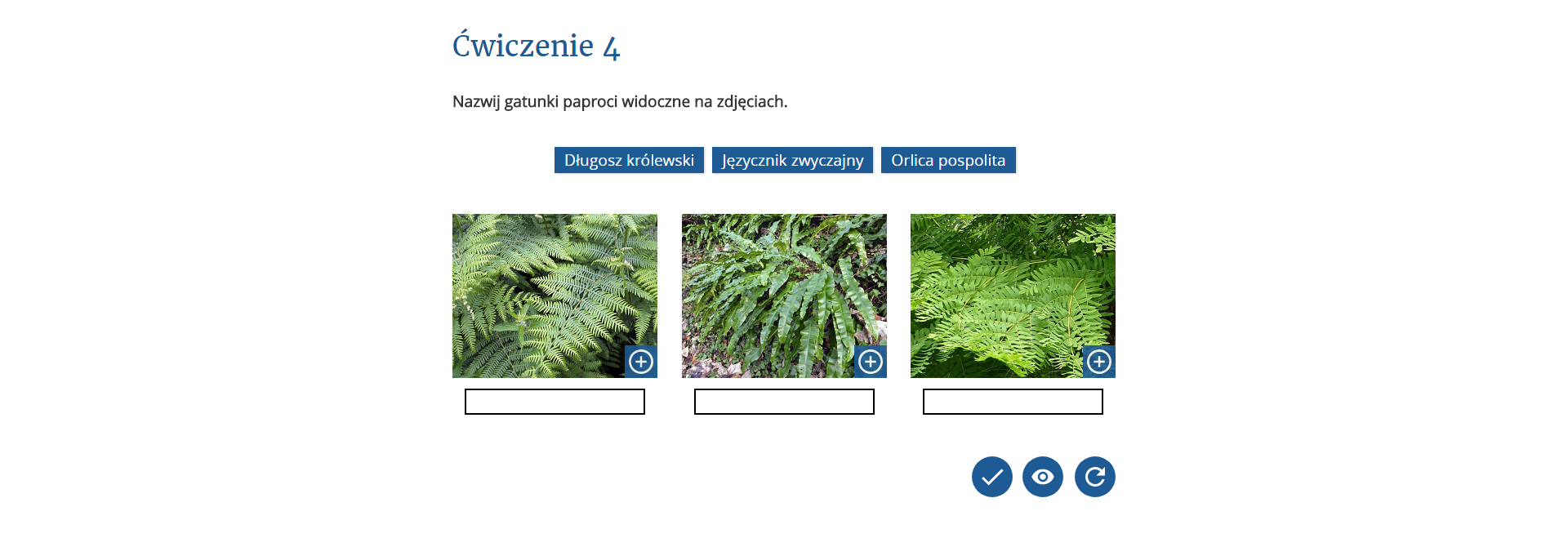 Ćwiczenia interaktywne