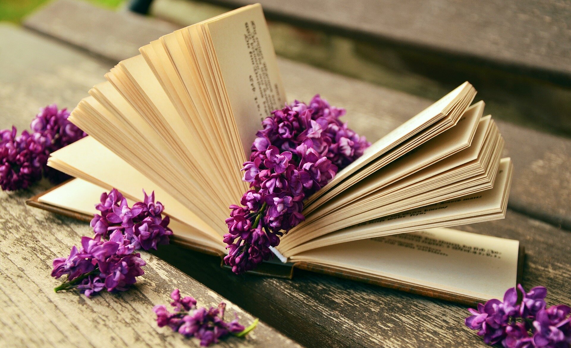 Poezja1 Źródło: www.pixabay.com, fotografia barwna, domena publiczna.