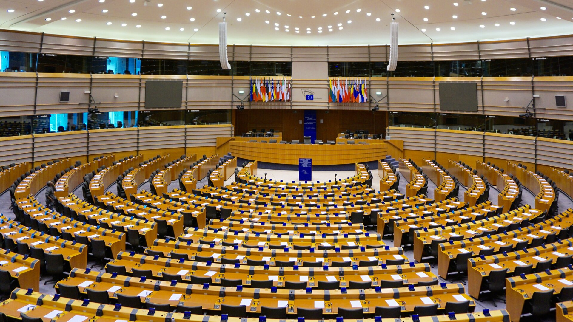 Zdjęcie przedstawia salę obrad plenarnych Parlamentu Europejskiego w Brukseli. Ustawione amfiteatralnie fotele parlamentarzystów przedzielone są przejściami. Przed nimi w centrum znajduje się mównica, a za nią półkolisty stół prezydialny. Nad nim zawieszone zostały flagi państw członkowskich Unii Europejskiej. Po bokach na parterze i na pierwszym piętrze znajdują się loże dla publiczności. Na piętrze znajdują się również stanowiska pracy tłumaczy.