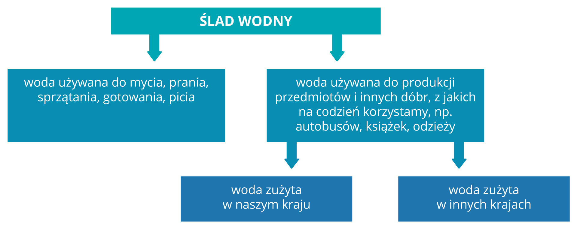 Schemat blokowy przedstawia składniki tzw. śladu wodnego. Od bloku z napisem ślad wodny strzałka prowadzi do bloku z napisem: woda używana do mycia, prania, gotowania, sprzątania, picia. Druga strzałka wskazuje blok z napisem: woda używana do produkcji przedmiotów i innych dóbr, z jakich na co dzień korzystamy, np. autobusów, książek, odzieży. Od niego jedna strzałka prowadzi do bloku: woda zużyta w naszym kraju, druga do bloku: woda zużyta w innych krajach.