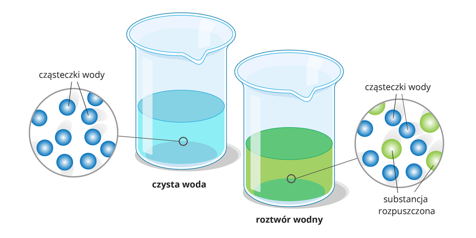 Na ilustracji zaprezentowano dwie szklane zlewki. Jedna jest wypełniona wodą, a druga roztworem wodnym w kolorze zielonym. W kółkach obok zlewek zaprezentowano modele drobinowe cząsteczek każdej z tych substancji.