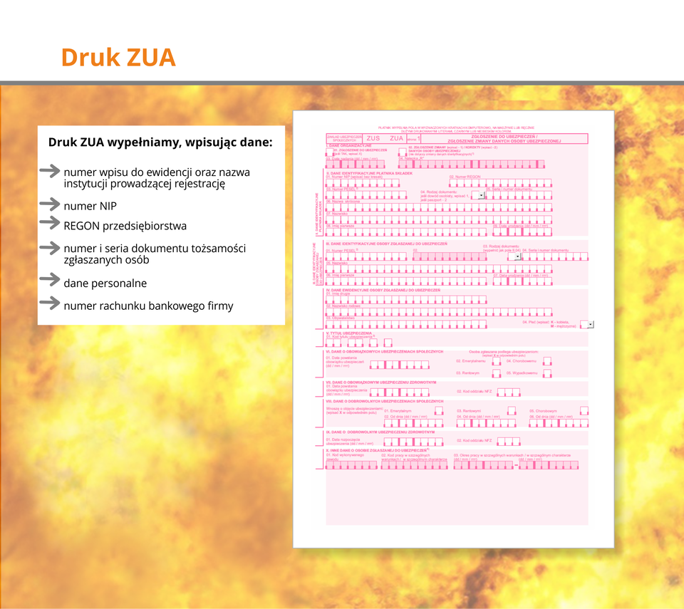 Ilustracja przedstawia druk ZUA.
