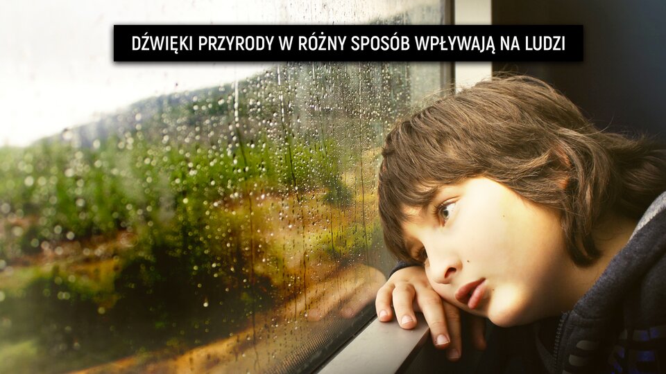 Ilustracja przedstawia chłopca siedzącego w pociągu, spoglądającego przez okno. Za oknem jest szaro i pada deszcz. Chłopiec jest zamyślony. Prawdopodobnie nasłuchuje kapiącego deszczu. Na górze ilustracji znajduje się napis: „dźwięki przyrody w różny sposób wpływają na ludzi”.