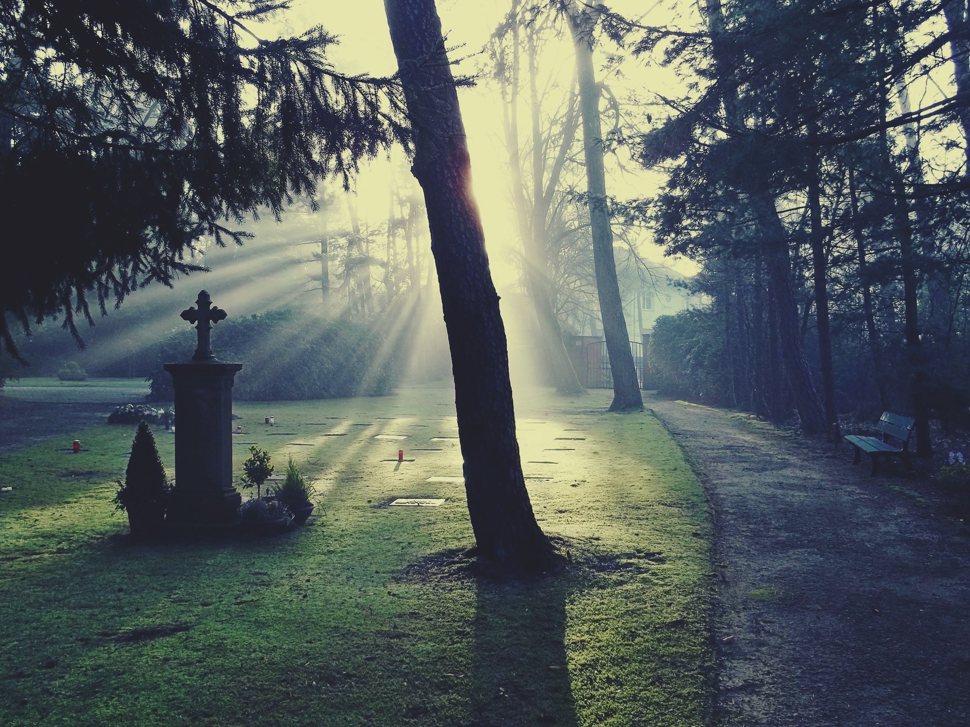 Okładka - rzeczy ostateczne Źródło: pixabay, licencja: CC 0.