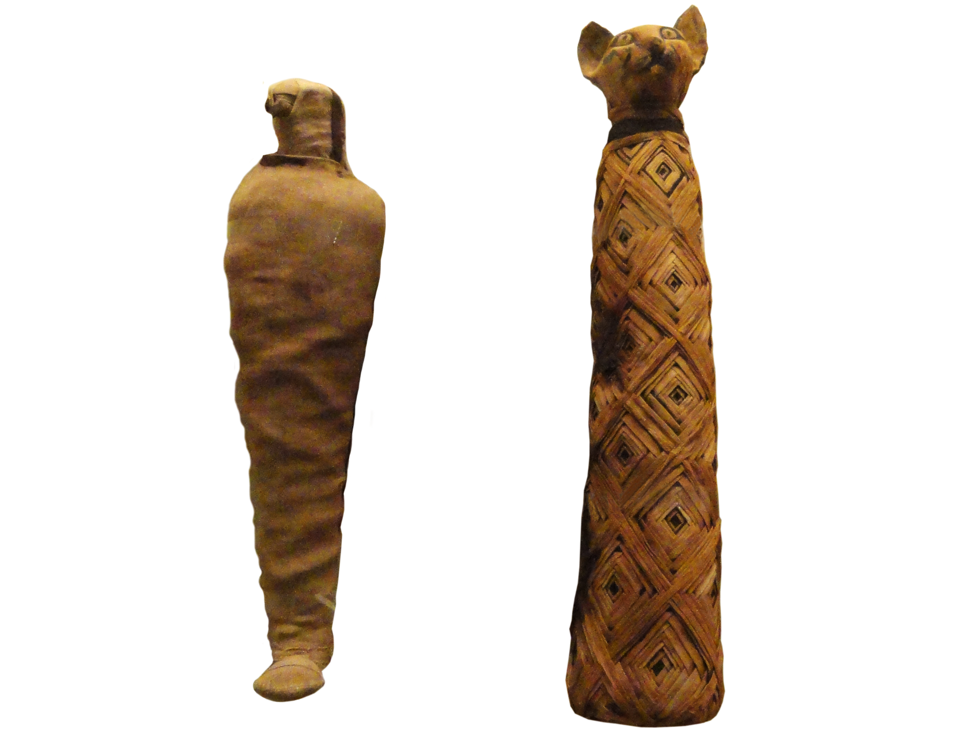 Mumie zwierząt odkopane przez archeologów, obecnie przechowywane w Królewskim Muzeum w Toronto w Kanadzie Mumie zwierząt odkopane przez archeologów, obecnie przechowywane w Królewskim Muzeum w Toronto w Kanadzie Źródło: domena publiczna.