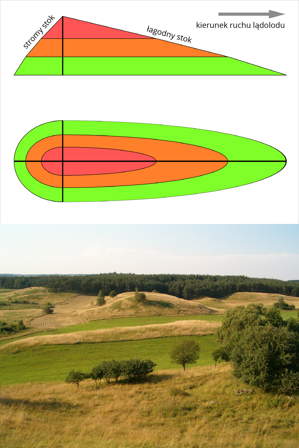 Schemat przedstawiający Drumlin - niewysoki pagórek o eliptycznym, asymetrycznym kształcie, wraz z graficzną ilustracją jego budowy.