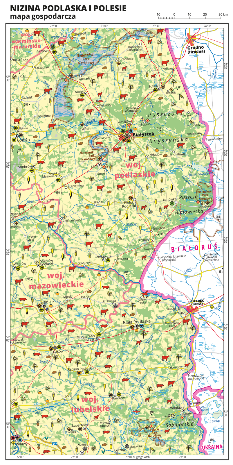 Ilustracja przedstawia mapę gospodarczą Niziny Podlaskiej i Polesia. Tło mapy w kolorze żółtym (grunty orne), jasnozielonym (łąki i pastwiska) i zielonym (lasy). Mapa obejmuje tereny od Łomży i Puław na zachodzie po wschodnią granicę Polski z Białorusią i Ukrainą. Na mapie sygnatury obrazujące uprawy poszczególnych roślin, hodowlę zwierząt, przemysł, górnictwo i energetykę, komunikację, turystykę, naukę, kulturę i sztukę. Największe zagęszczenie sygnatur w Białymstoku. Duże zagęszczenie sygnatur w Siedlcach, Puławach, Łomży i Białej Podlaskiej. Na obszarze całej mapy równomiernie rozłożone sygnatury związane z hodowlą zwierząt i uprawą roślin. Na mapie przedstawiono sieć dróg i kolei, porty wodne i lotnicze, granice województw, granicę państwa. Opisano województwa mazowieckie, lubelskie, podlaskie i warmińsko-mazurskie. Opisano Białoruś i Ukrainę. Opisano kompleksy leśne, na przykład Puszczę Białowieską i parki narodowe. Mapa zawiera południki i równoleżniki, dookoła mapy w białej ramce opisano współrzędne geograficzne co trzydzieści minut.