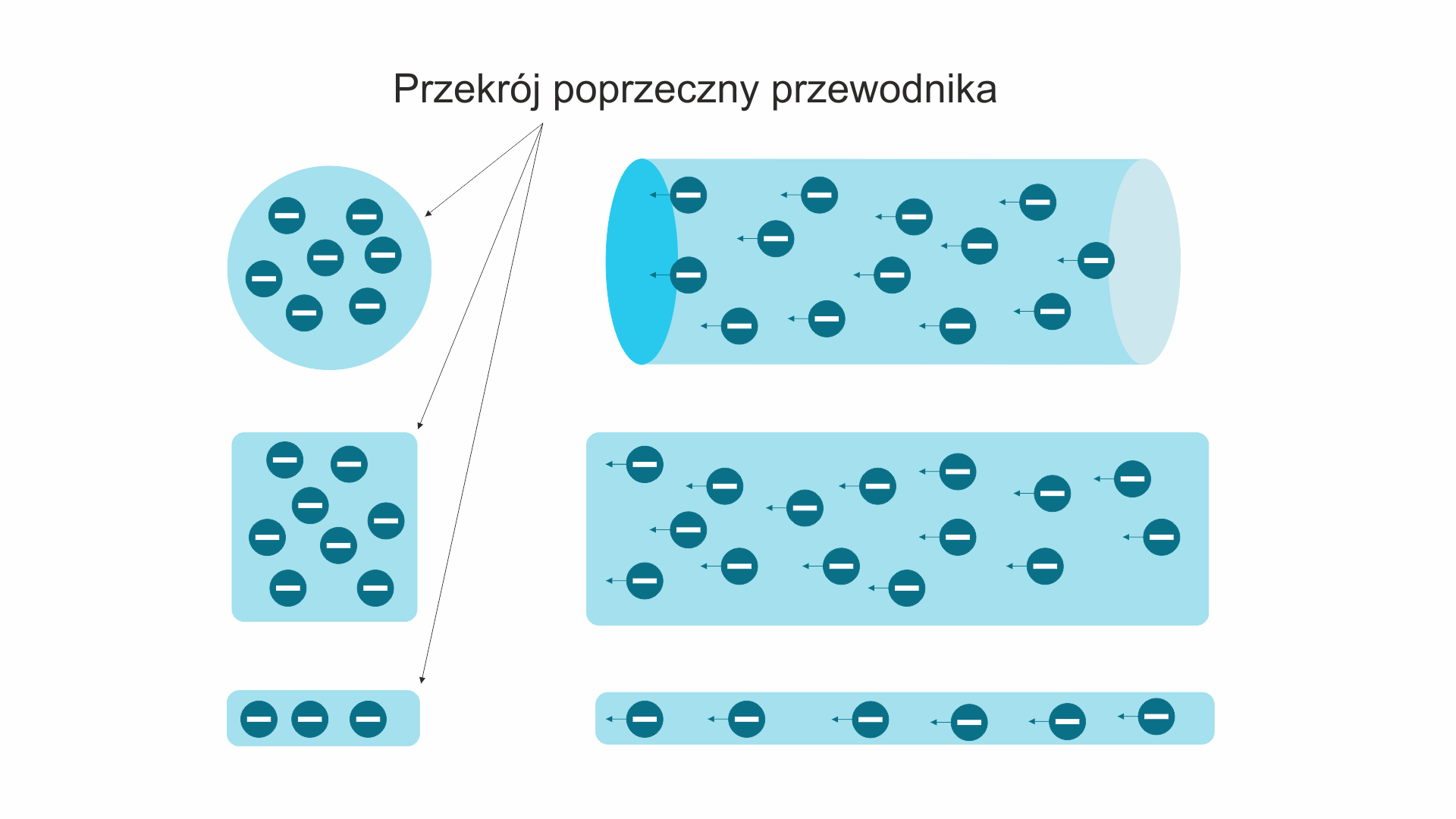Przekrój poprzeczny